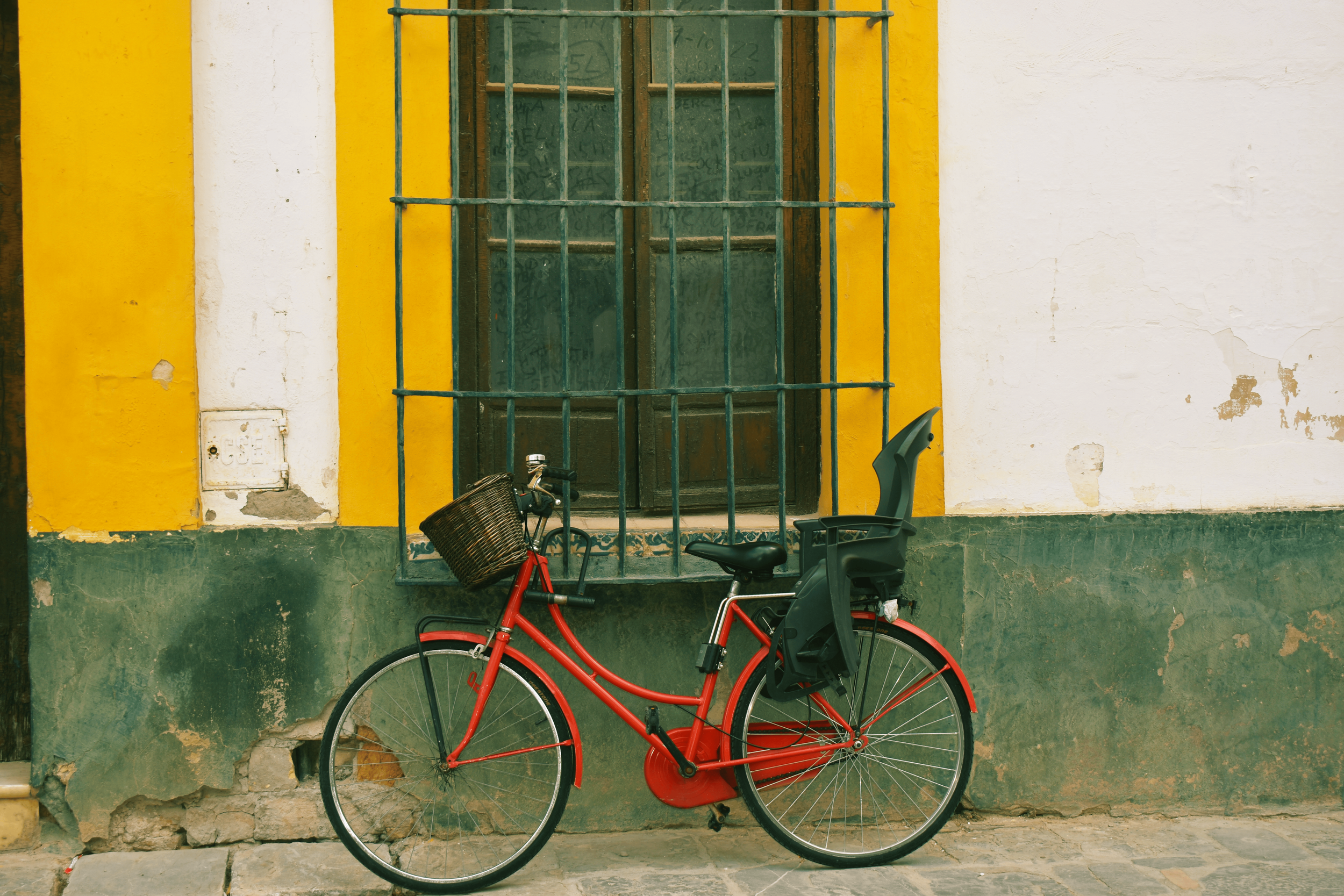 IMG_9969 (3) (1).png