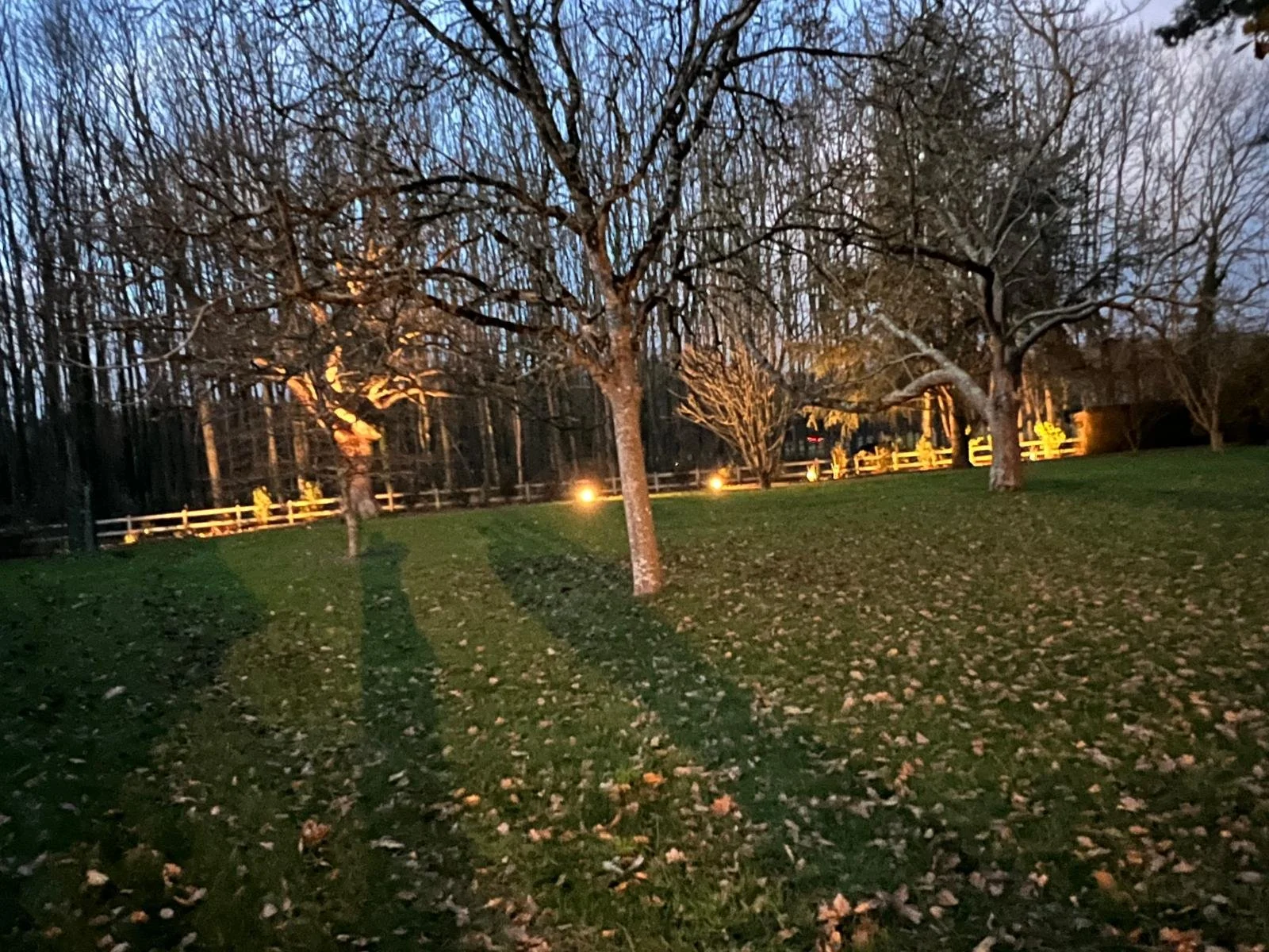 WhatsApp Image 2025-12-17 at 18.25.42 (4).jpeg