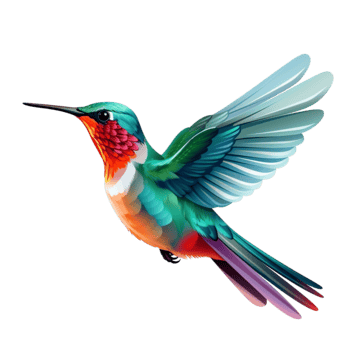 Hummingbird Seniors Assistance