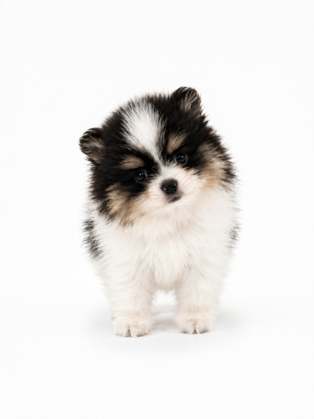 3E5125E8-3205-4E36-96DB-C4038EA46419.png