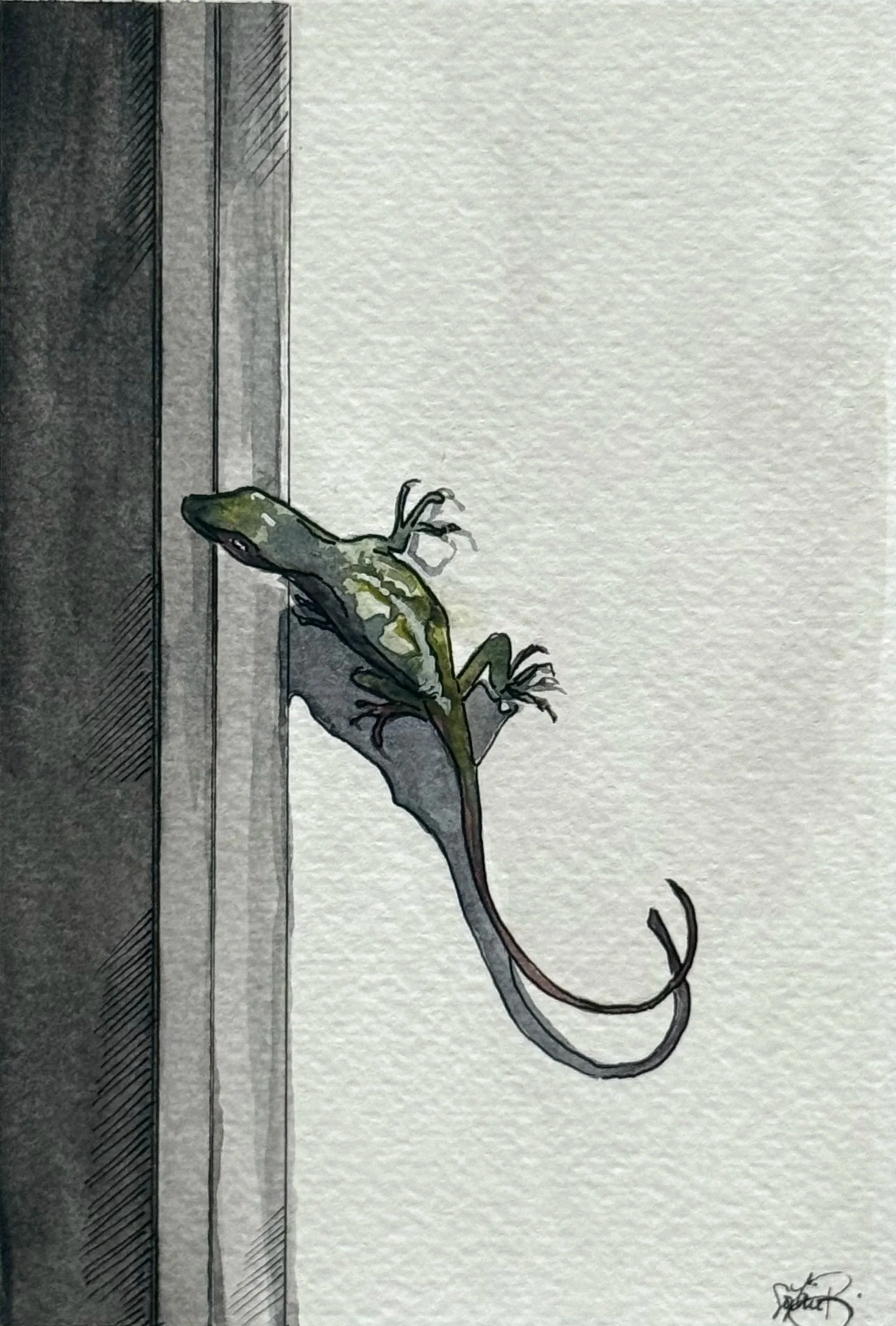 "A Lizard's Shadow" (5x7in)