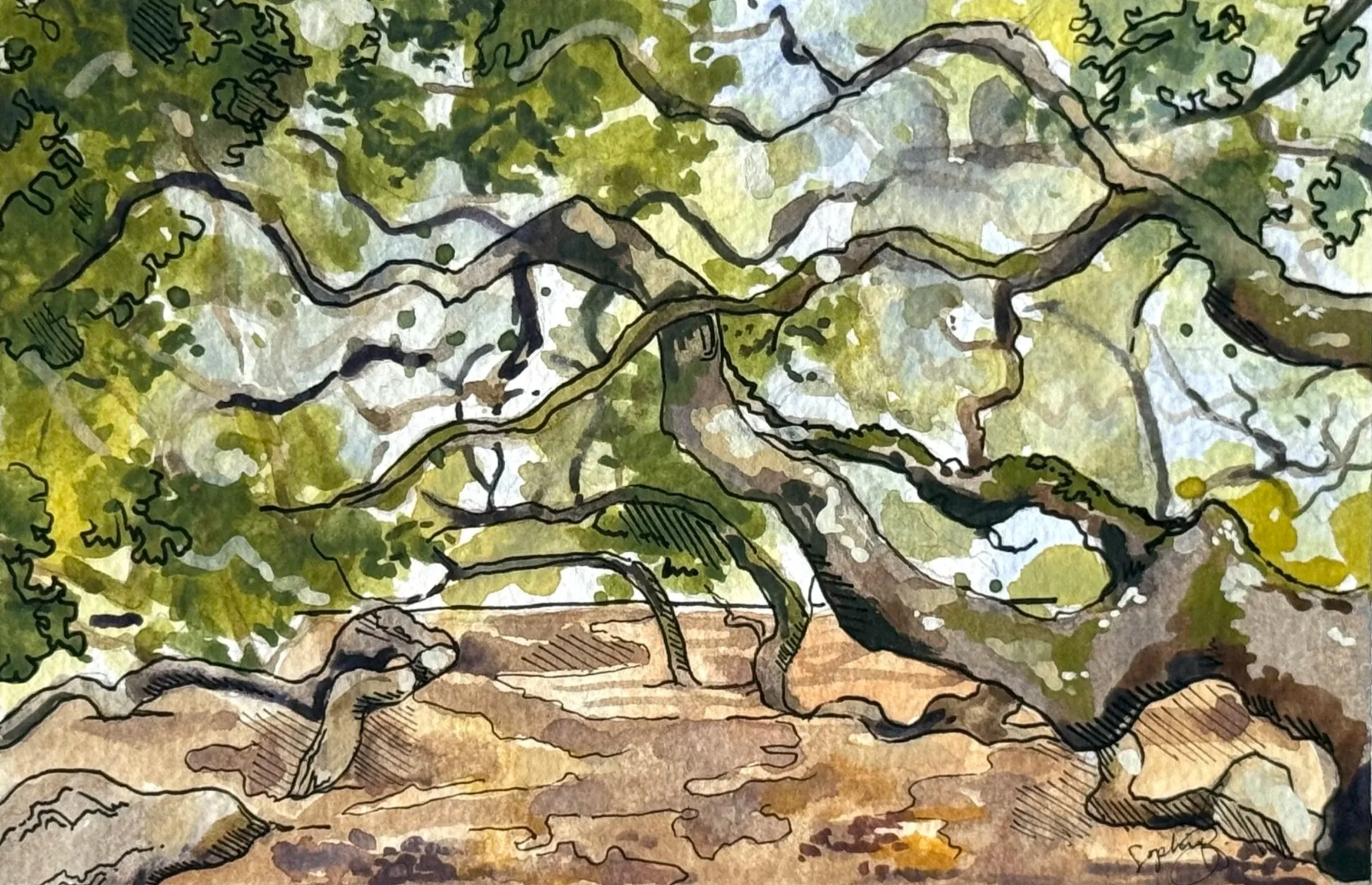 "Angel Oak" (5x7in)
