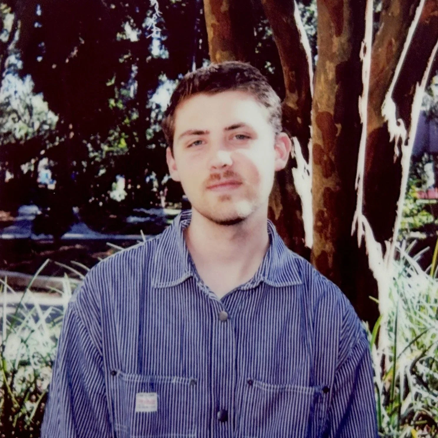Raleigh Lutz with short dark hair, light skin, and a slight beard standing outdoors in front of a large tree with peeling bark, wearing a blue striped button-up shirt.