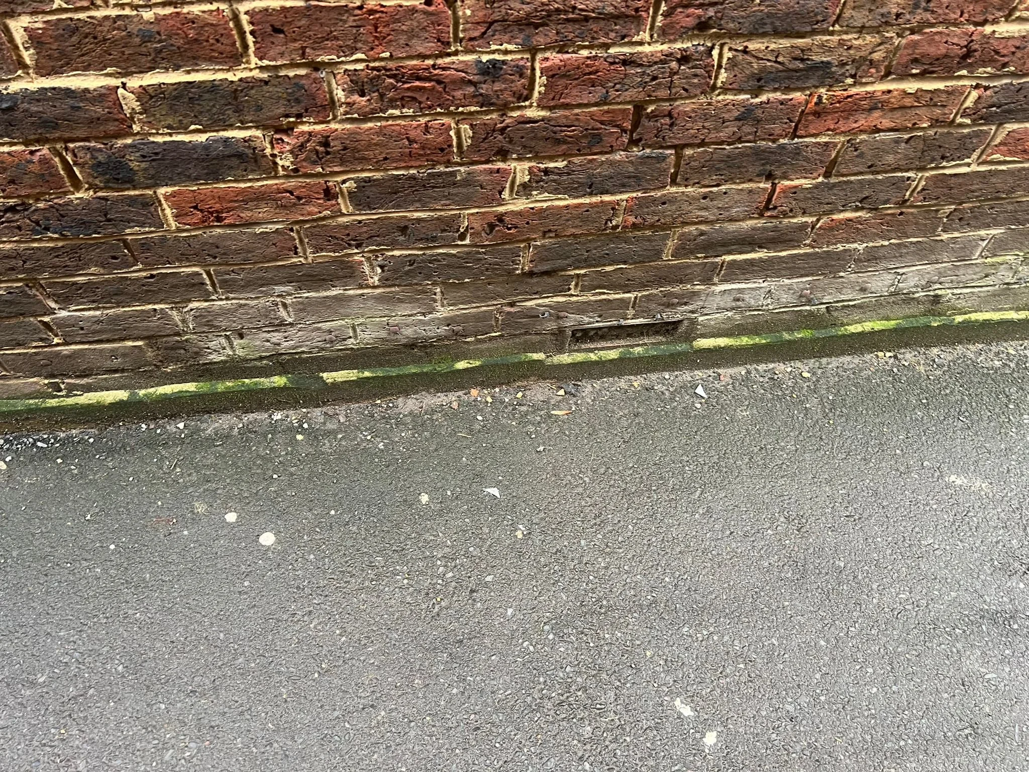 WhatsApp Image 2026-01-19 at 16.16.21 (1).jpeg