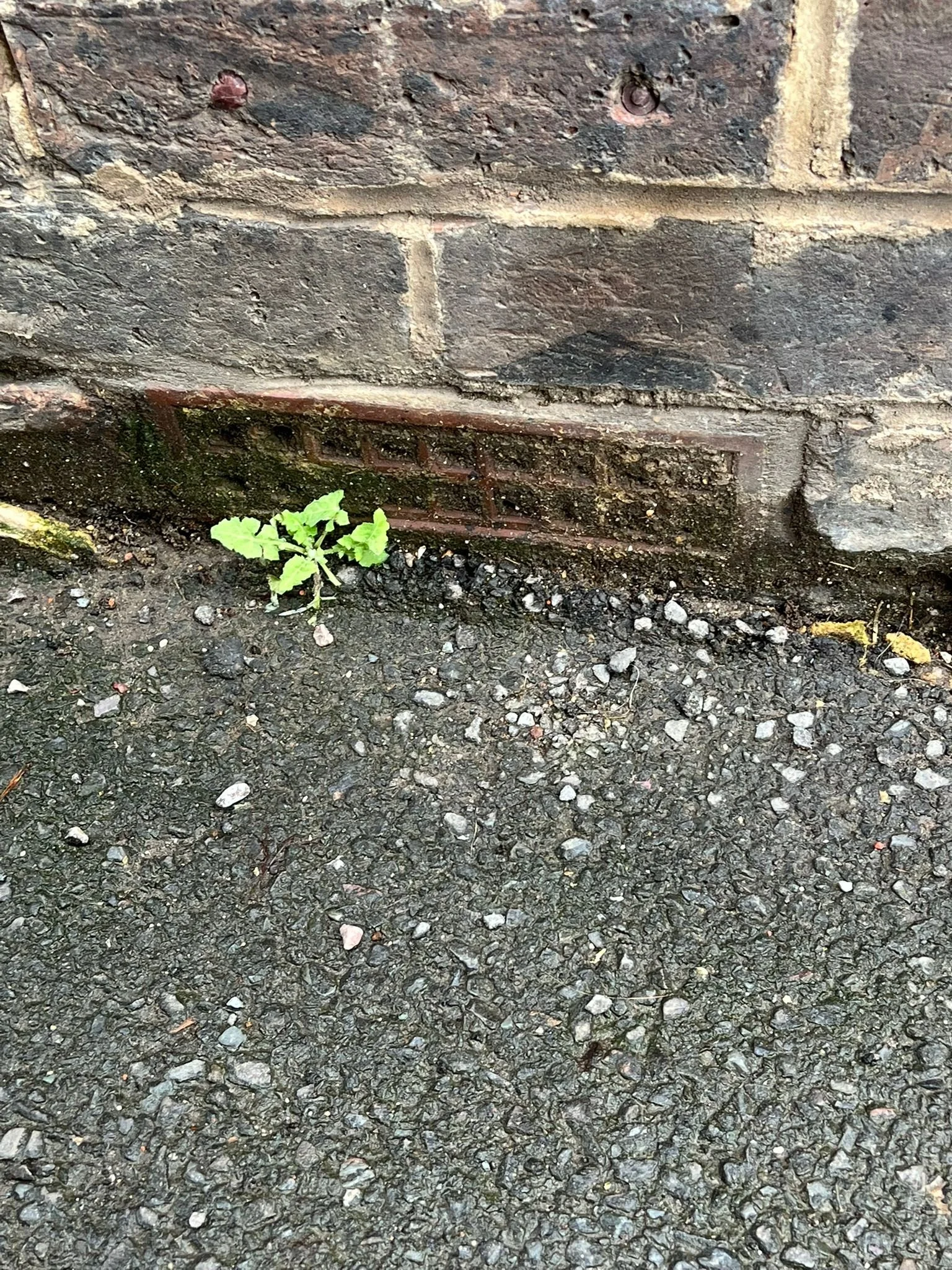 WhatsApp Image 2026-01-19 at 16.16.21.jpeg