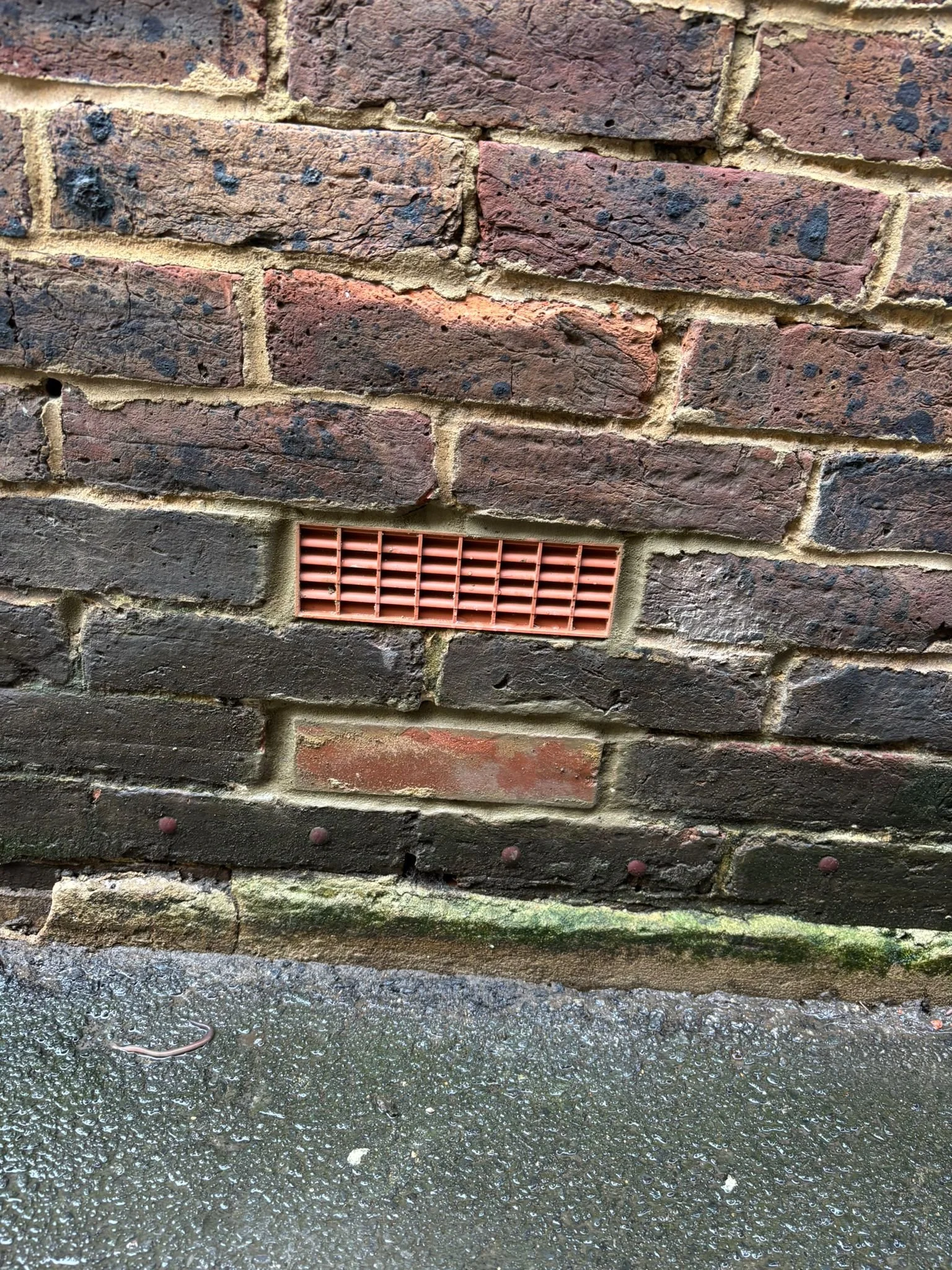 WhatsApp Image 2026-01-31 at 14.19.06 (4).jpeg