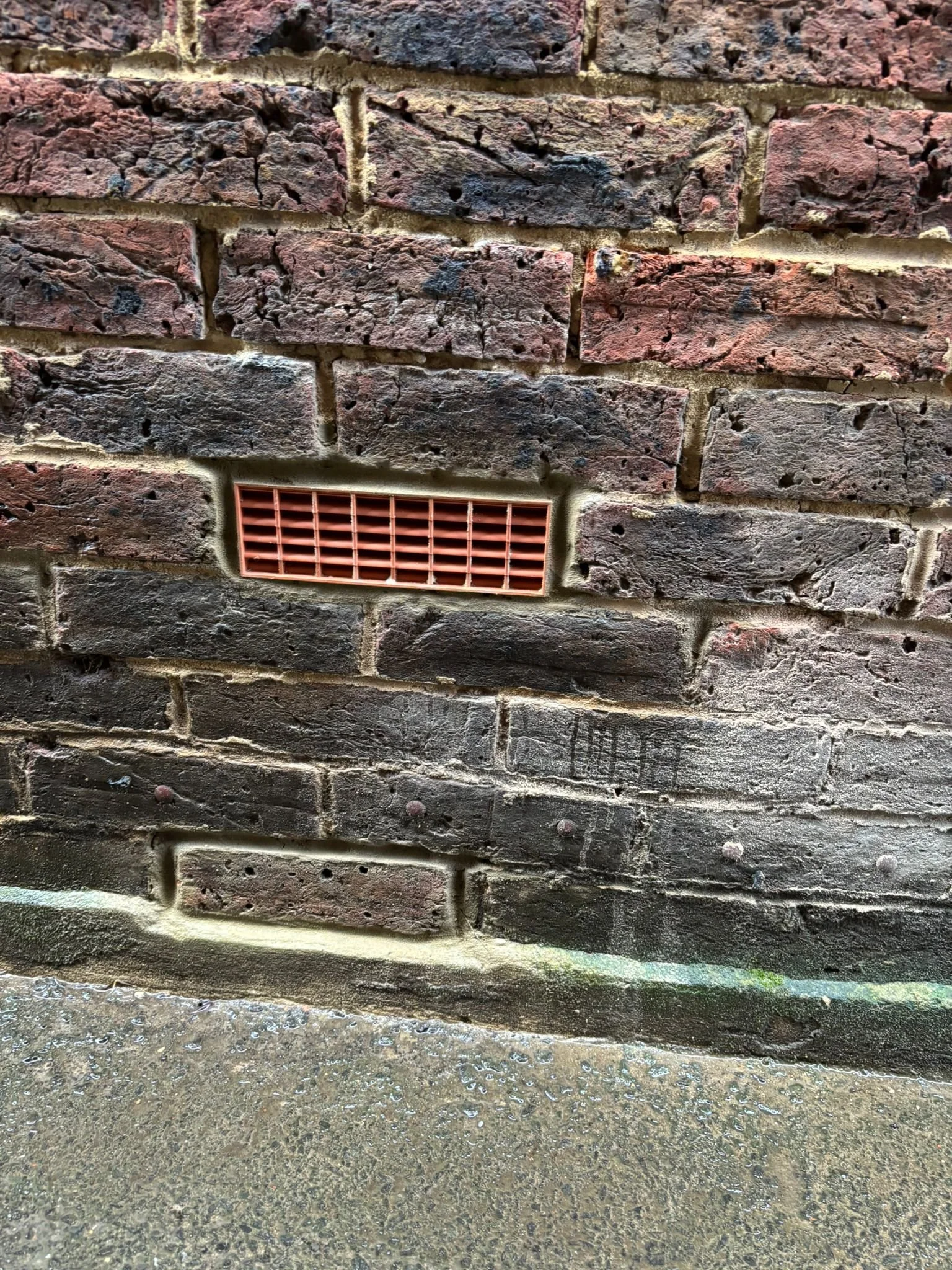 WhatsApp Image 2026-01-31 at 14.19.06.jpeg