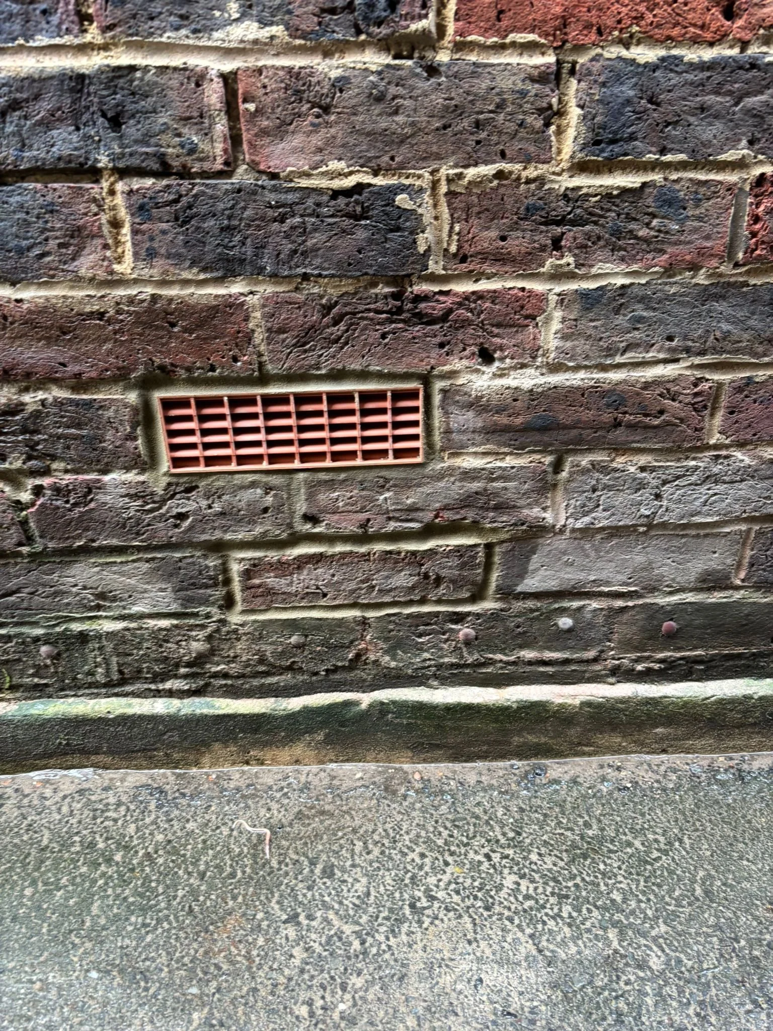 WhatsApp Image 2026-01-31 at 14.19.06 (2).jpeg