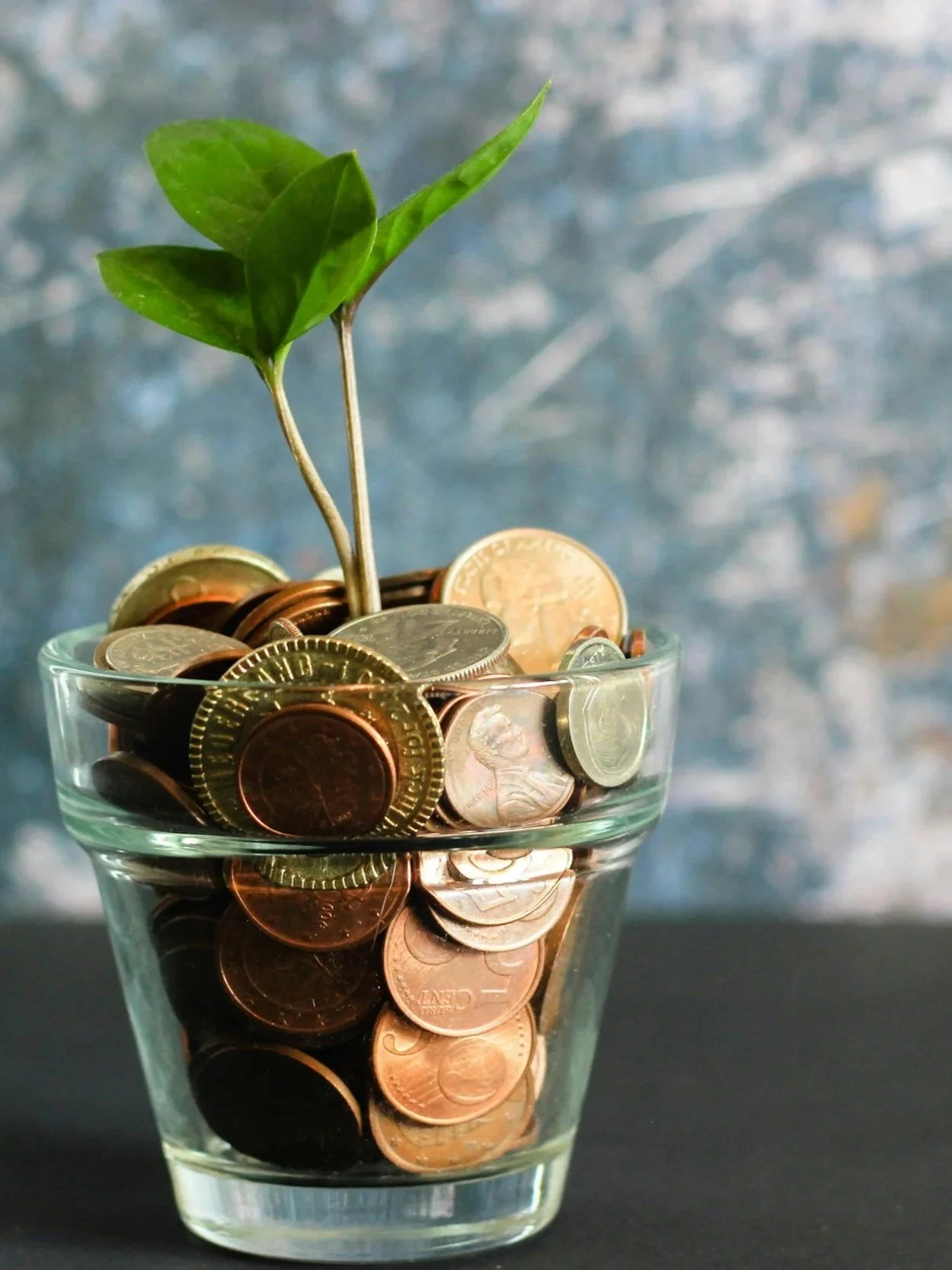 A glass cup filled with various coins, with a small green plant growing out of the coins.