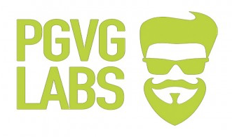 Logo di PGVG Labs con un'icona di una testa stilizzata con occhiali e barba.