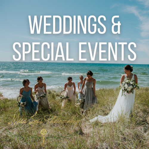 A bride and five bridesmaids standing on a grassy beach in front of the ocean, dressed in formal gowns, with the bride holding a bouquet, for a wedding or special event.