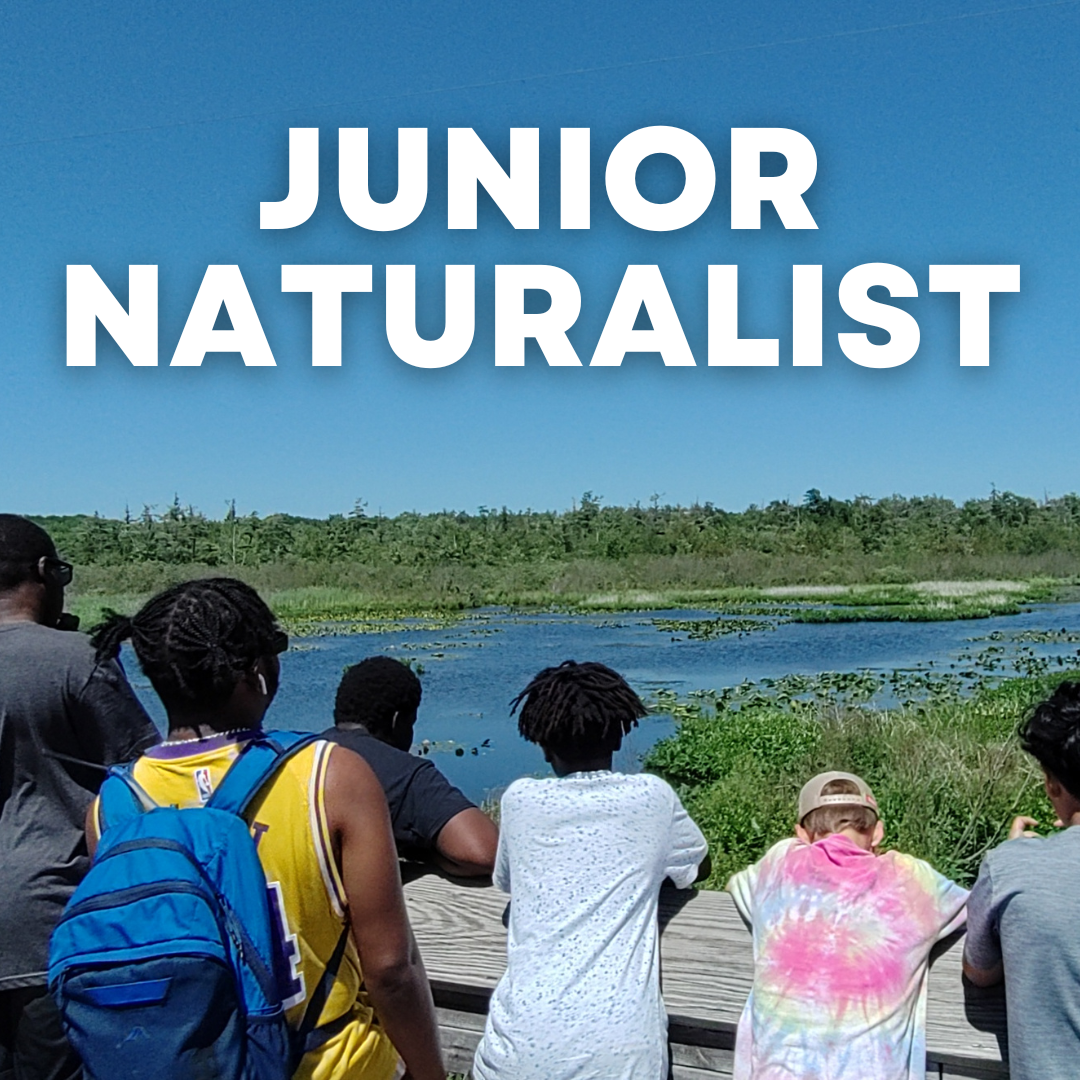 Group of young people observing a nature scene with water and greenery, at a Junior Naturalist event.