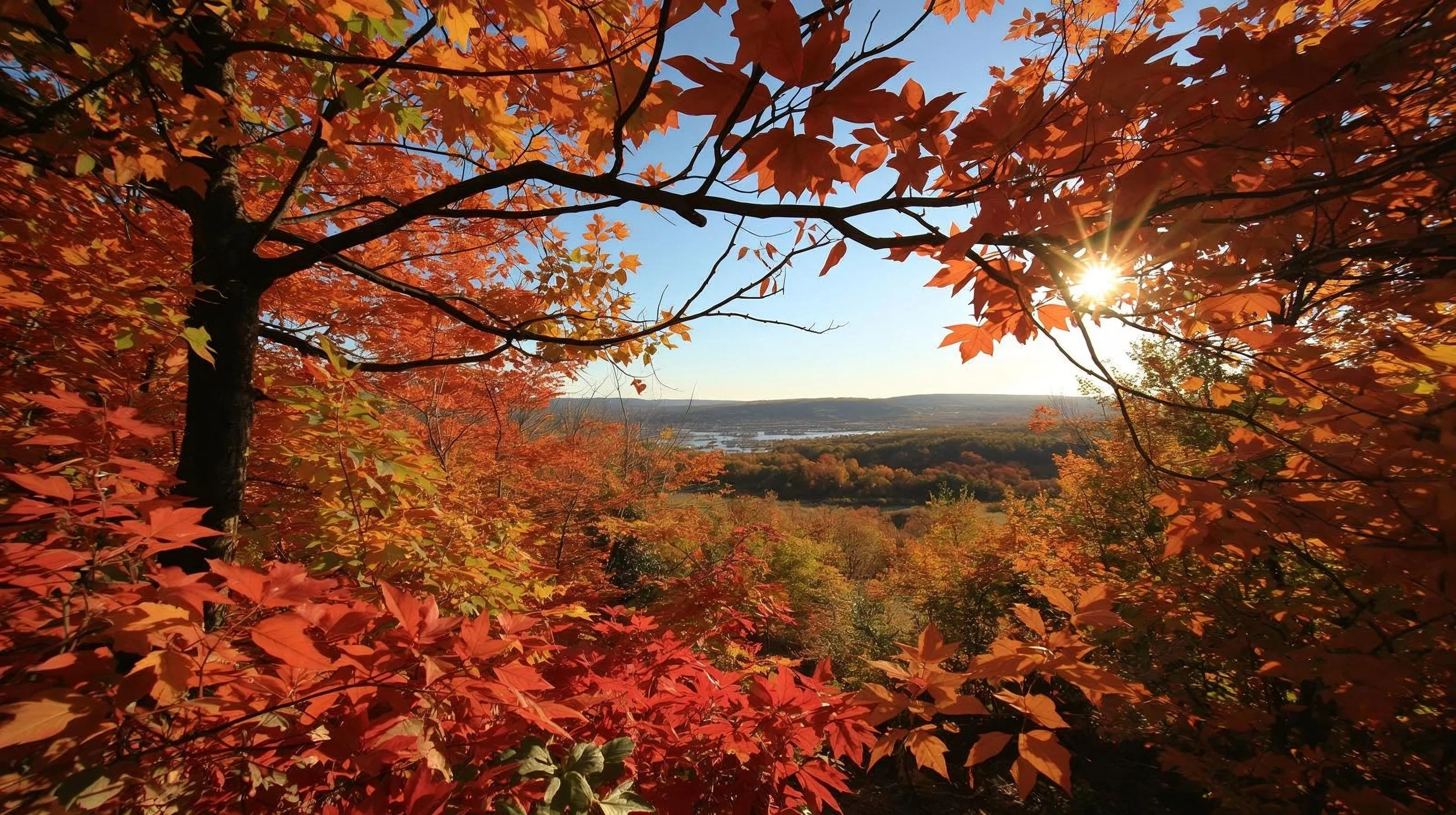 Sunlight shining through orange and red autumn leaves on trees, overlooking a landscape with hills and water in the distance.
