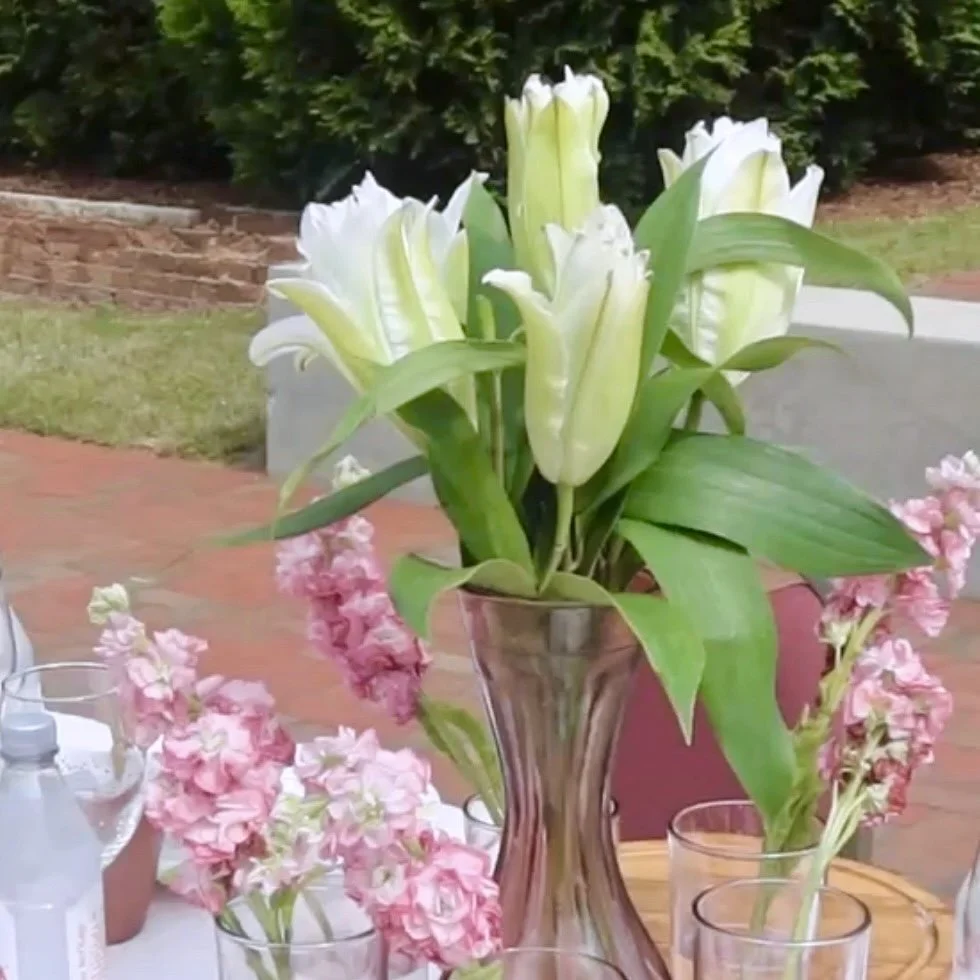 Cherish's Edible Forest