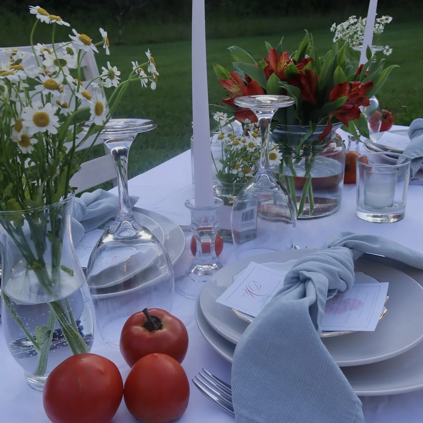 Summer Tomato Dinner