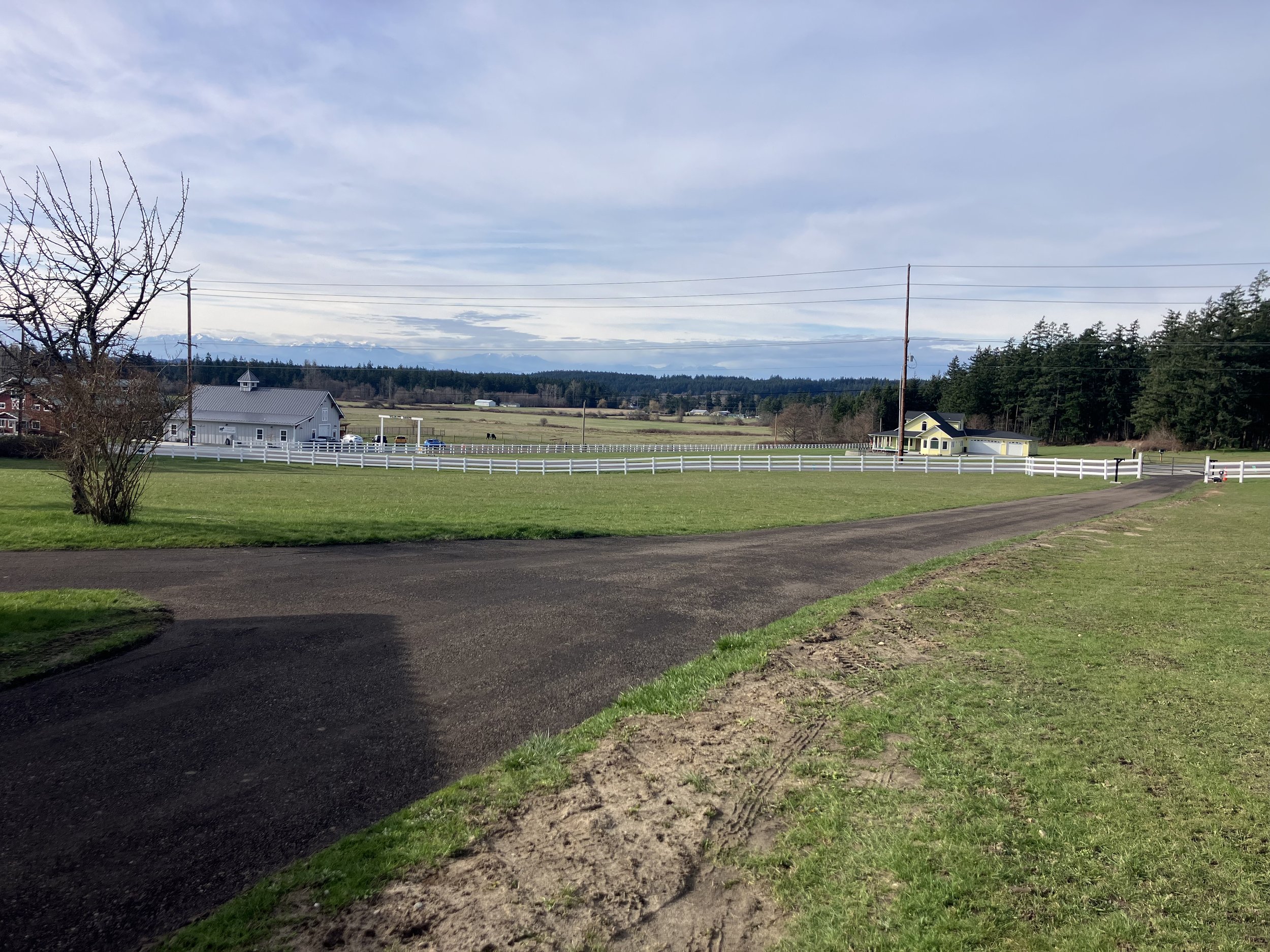 A rural farm scene with a new resurfaced crushed recycled asphalt gravel driveway, green grass, a leafless tree, a white fenced pasture, a barn, and a yellow house in the distance under a partly cloudy sky.