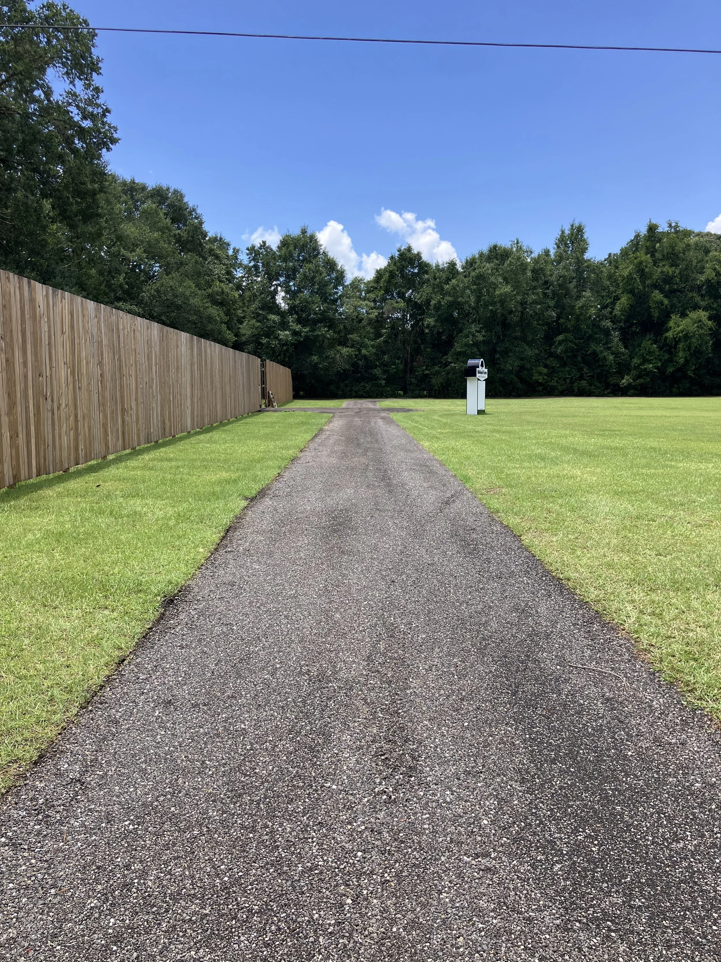 Green grass bordering newly installed recycled asphalt driveway under blue sky