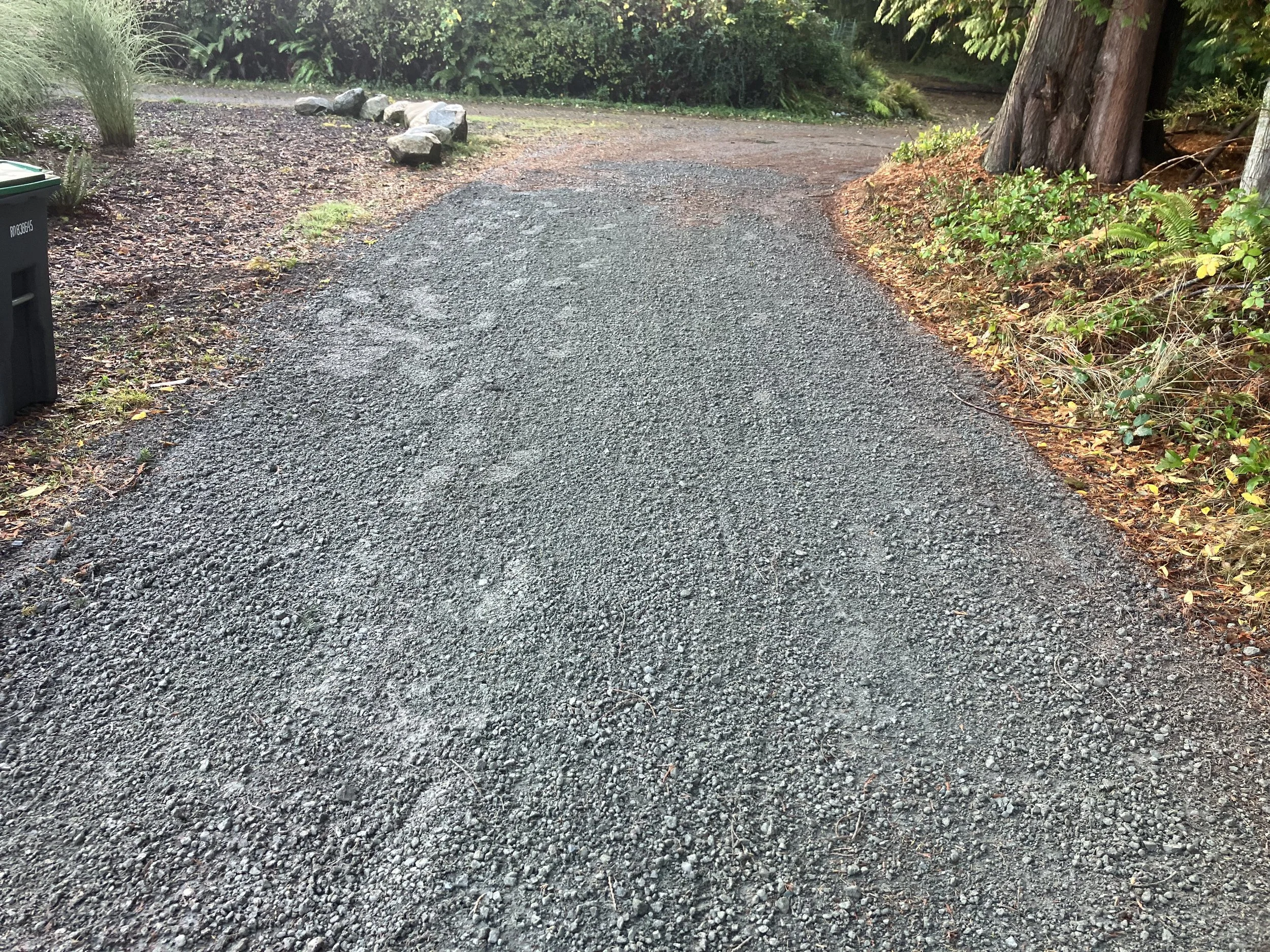 Gravel pathway in a natural outdoor setting with trees and greenery on both sides.