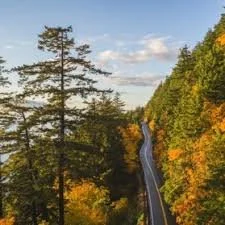 A scenic view of a winding road through a forest with trees showing fall foliage, overlooking a body of water and mountains in the distance under a partly cloudy sky.