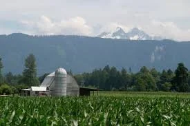 A farm with a barn and a silo, green fields, trees, and mountain range in the background under a cloudy sky.