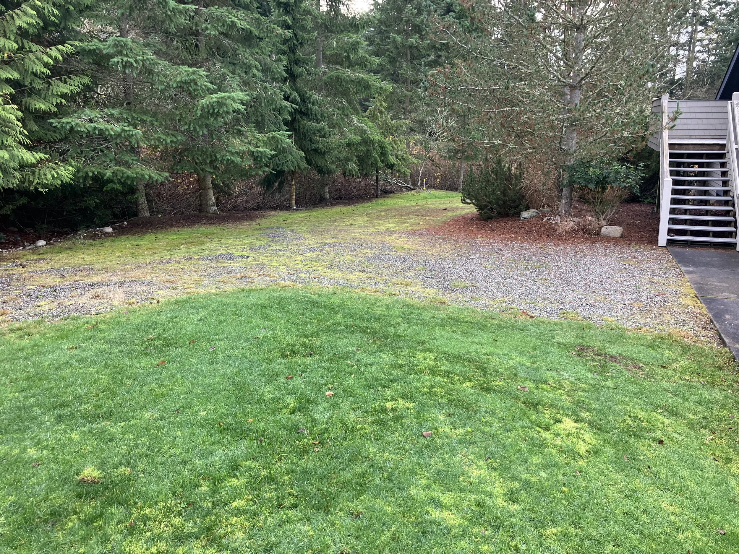 An old gravel driveway with grass and trees on one side and a beige house on the other side.