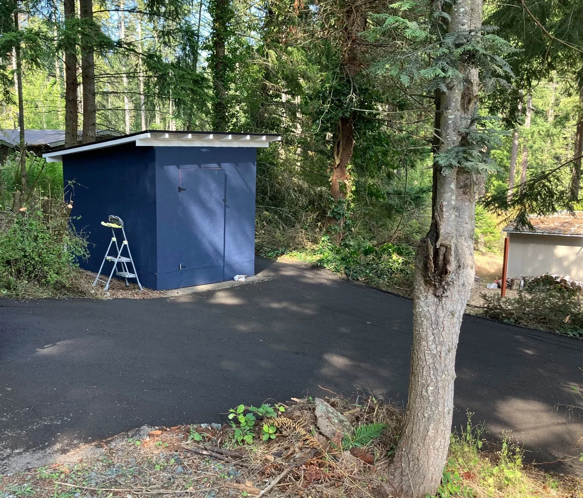 A new recycled asphalt driveway with no potholes with a blue storage shed in a forest setting next to a house.