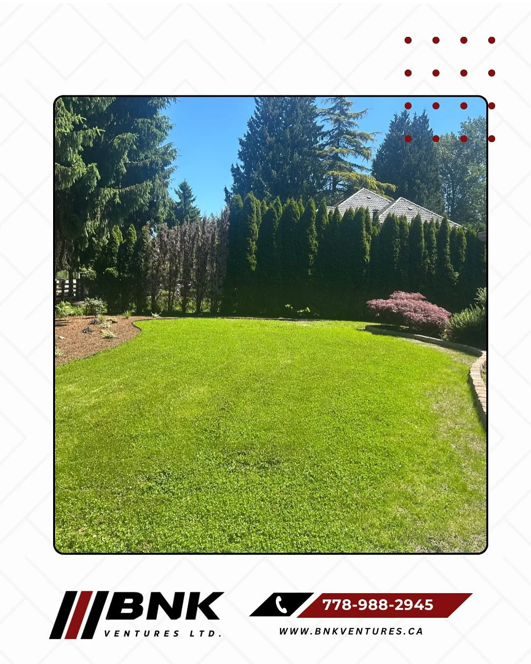 🪱 Chafer Grubs Destroyed Your Lawn? We Can Help. 🌱
Chafer beetle damage can turn a healthy green lawn into a patchy mess overnight. BNK Ventures Ltd. specializes in complete lawn restoration and grub-resistant turf installation &mdash; from removin