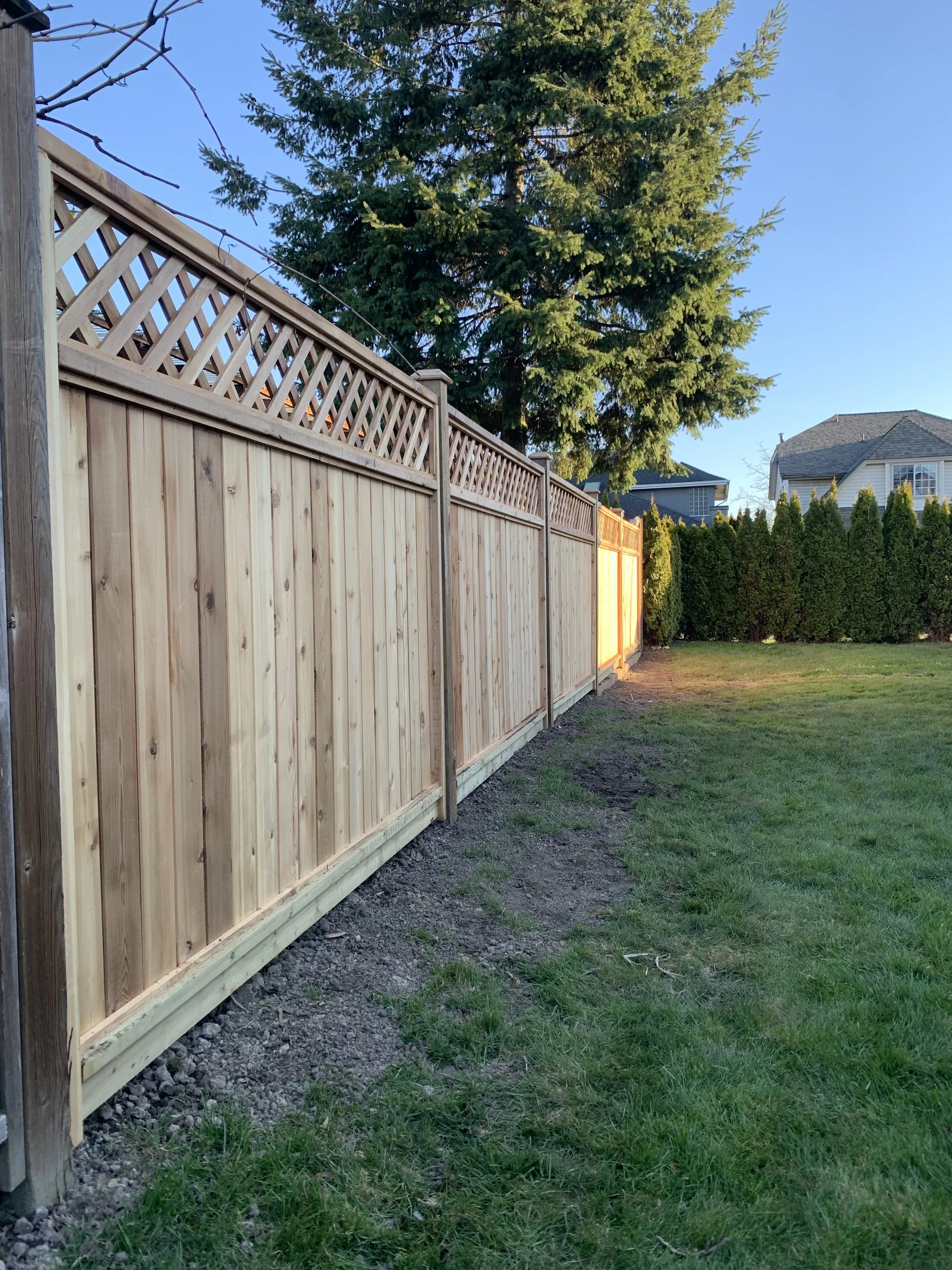 A newly installed wooden privacy fence in a backyard, with a large green evergreen tree and neighboring houses visible in the background, under clear blue skies.