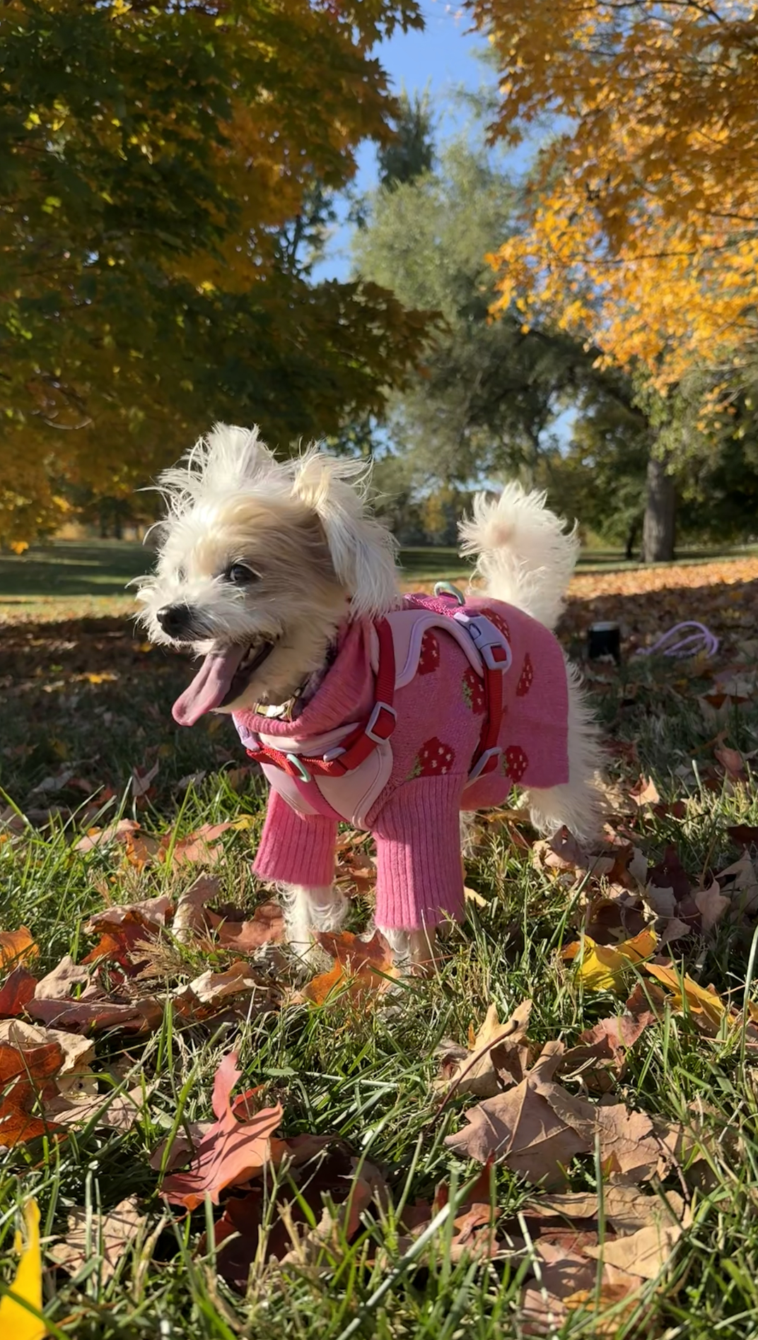 Screenshot 2025-11-08 at 10.12.43 PM.png