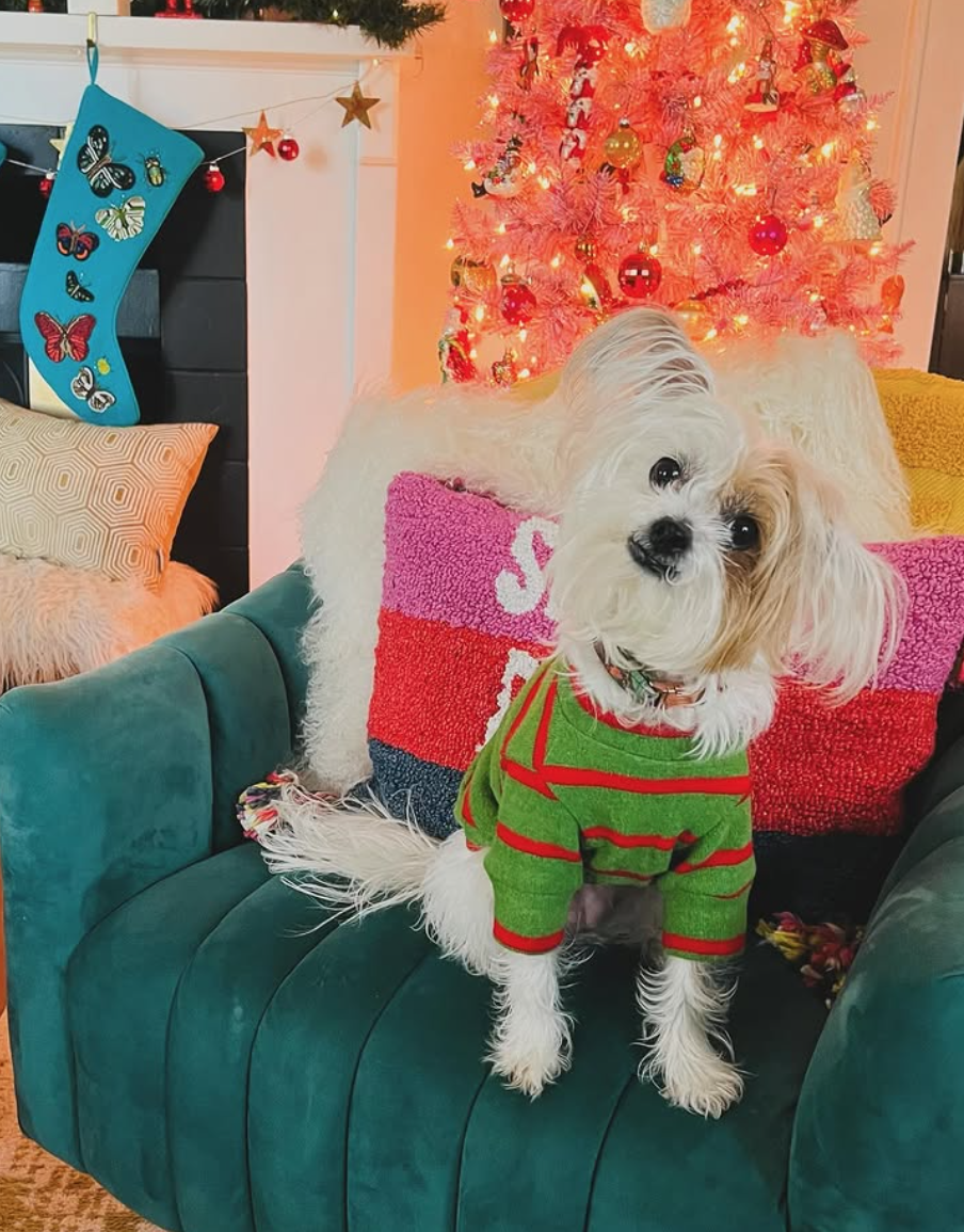 Screenshot 2025-11-08 at 10.09.28 PM.png