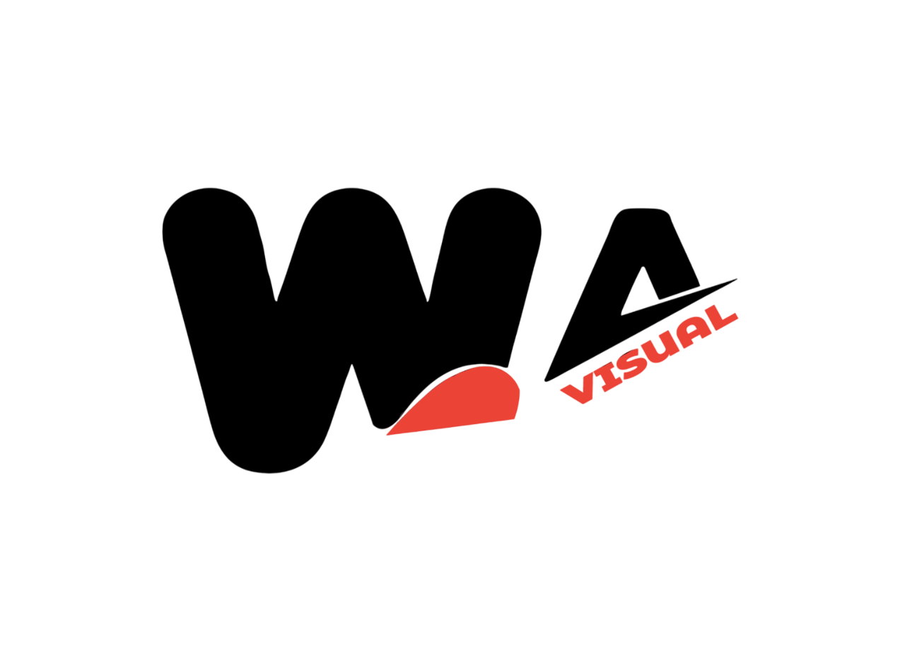 Black logo with the word 'VIZUAL' in red, stylized text and a red semicircle beneath the 'V'.