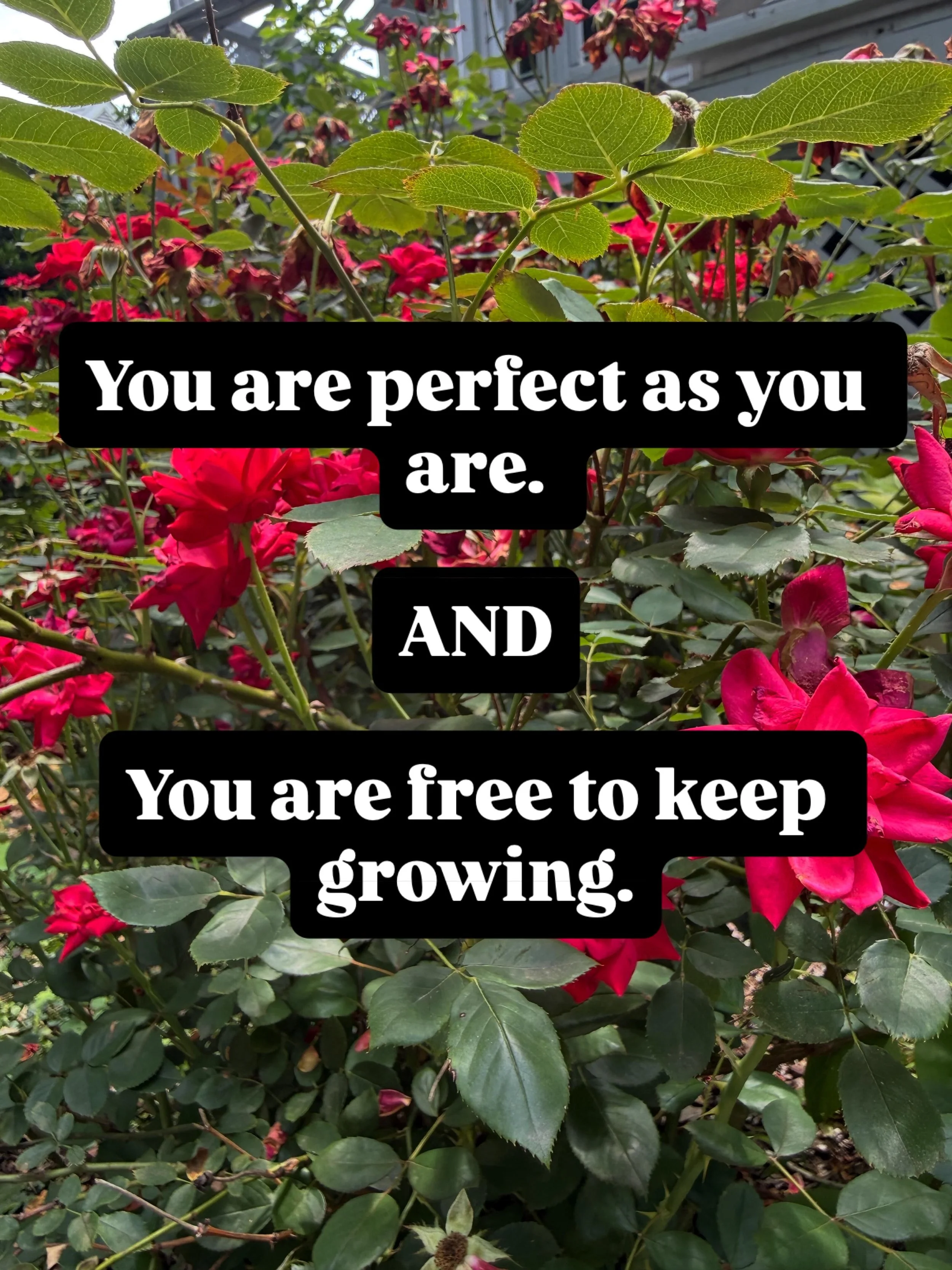 Come grow with us ❤️ #EvolveAndEmpower #holistichealthcoach #IntegrativeHealthCoach #ResponsiveSleepCoach