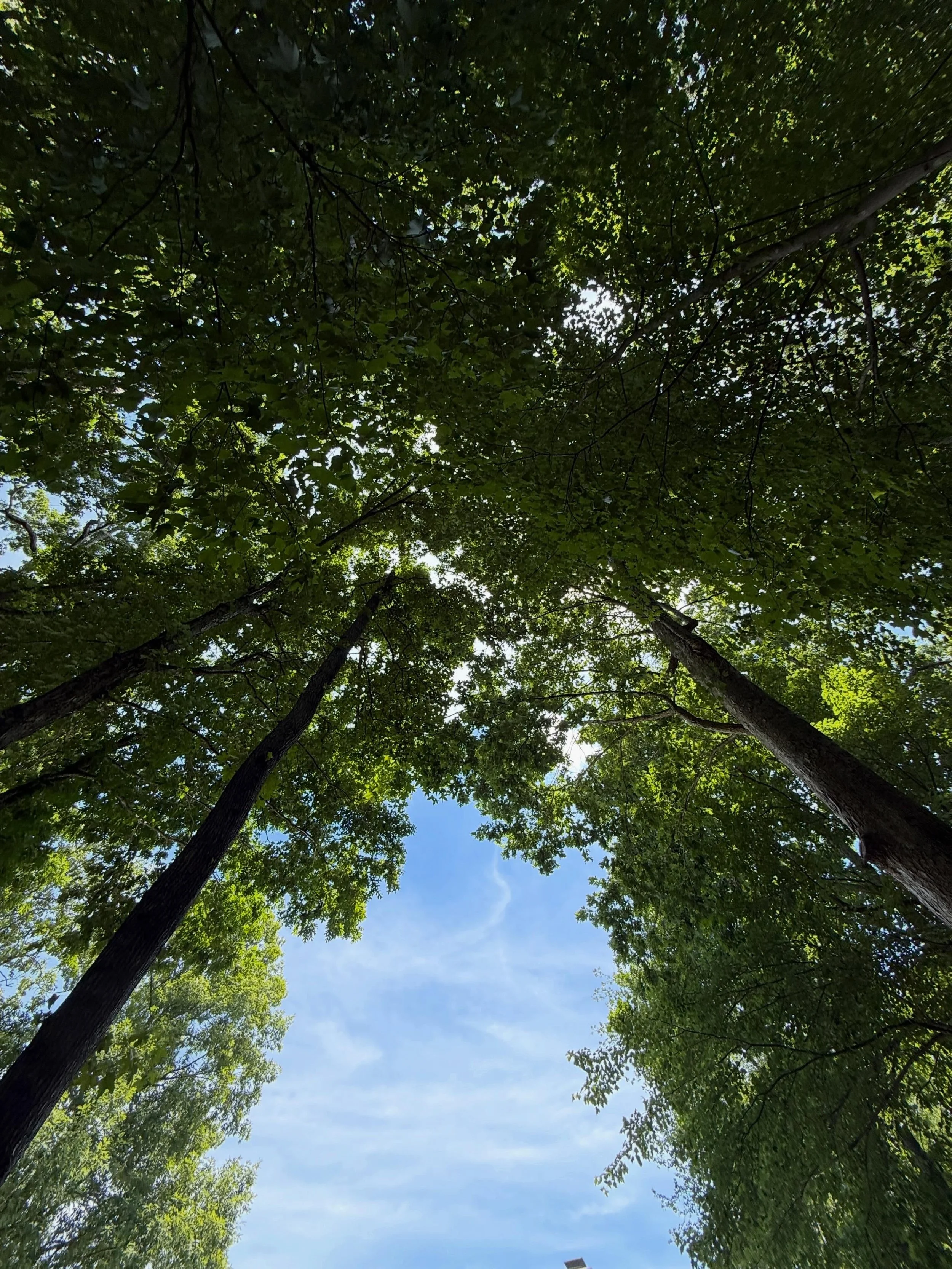 It&rsquo;s Wednesday!

Feeling a hump day slump this Wednesday afternoon? Let&rsquo;s take a #mindfulmoment together to recharge!

During your next break, step outside and engage all your senses.

What sounds do you hear? 🐦&zwj;⬛
What sights do you 