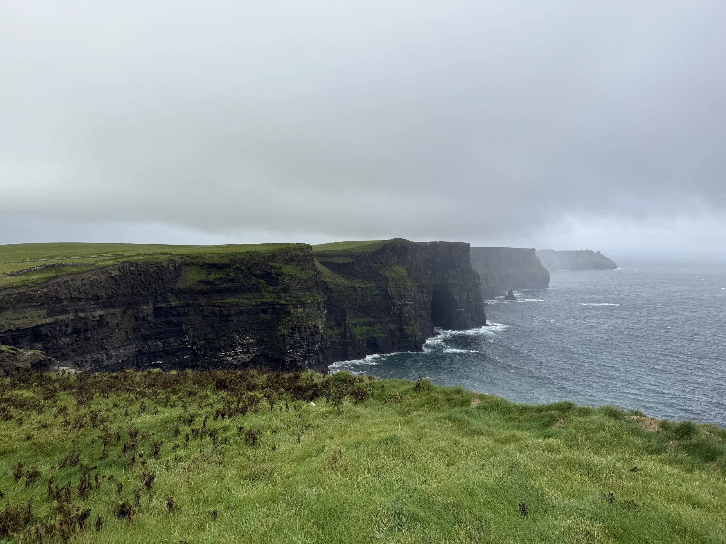 Coastal cliffs with green grass and ocean under cloudy sky.