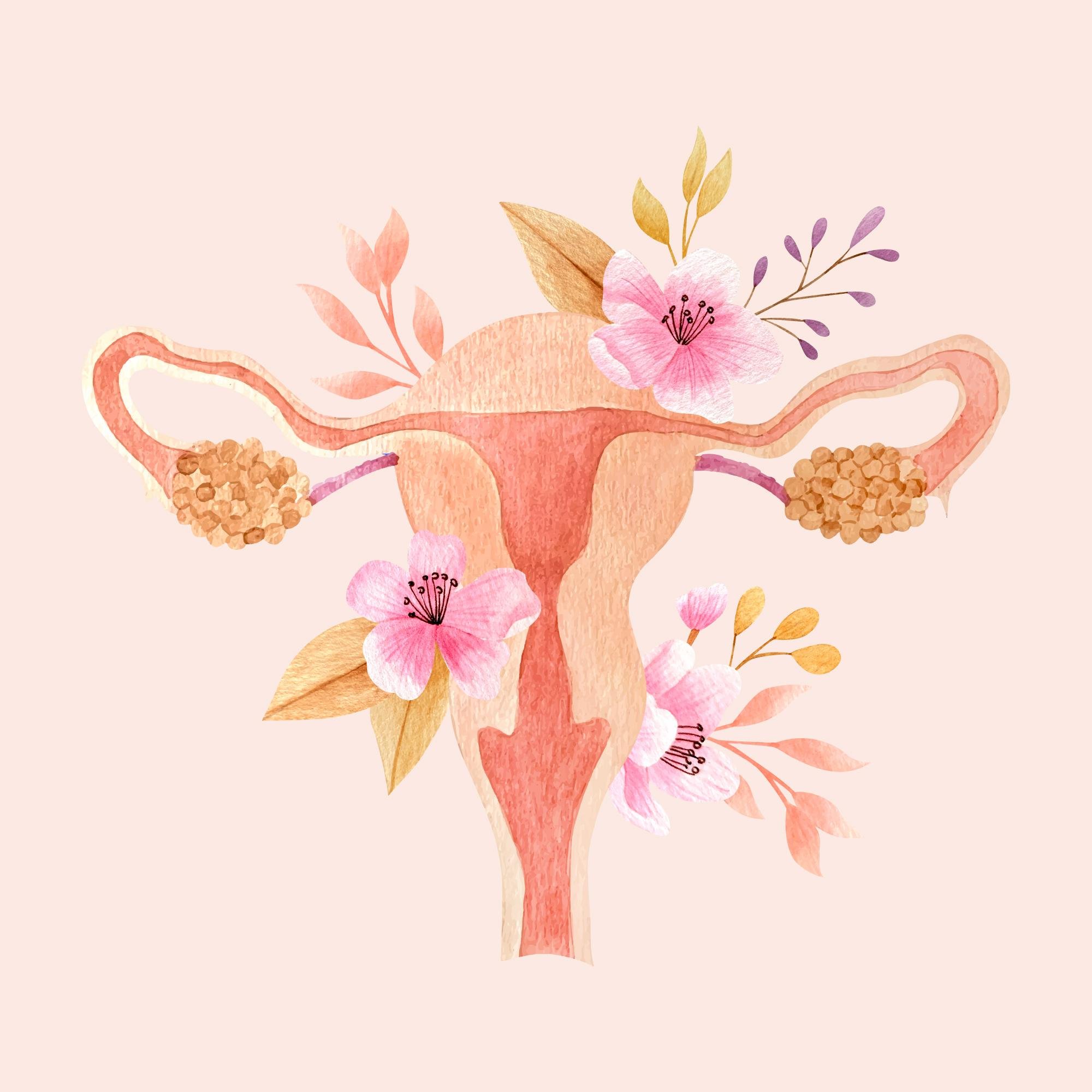 Pack of (3) One-Hour Holistic Fertility & Reproductive Health Coaching Calls
