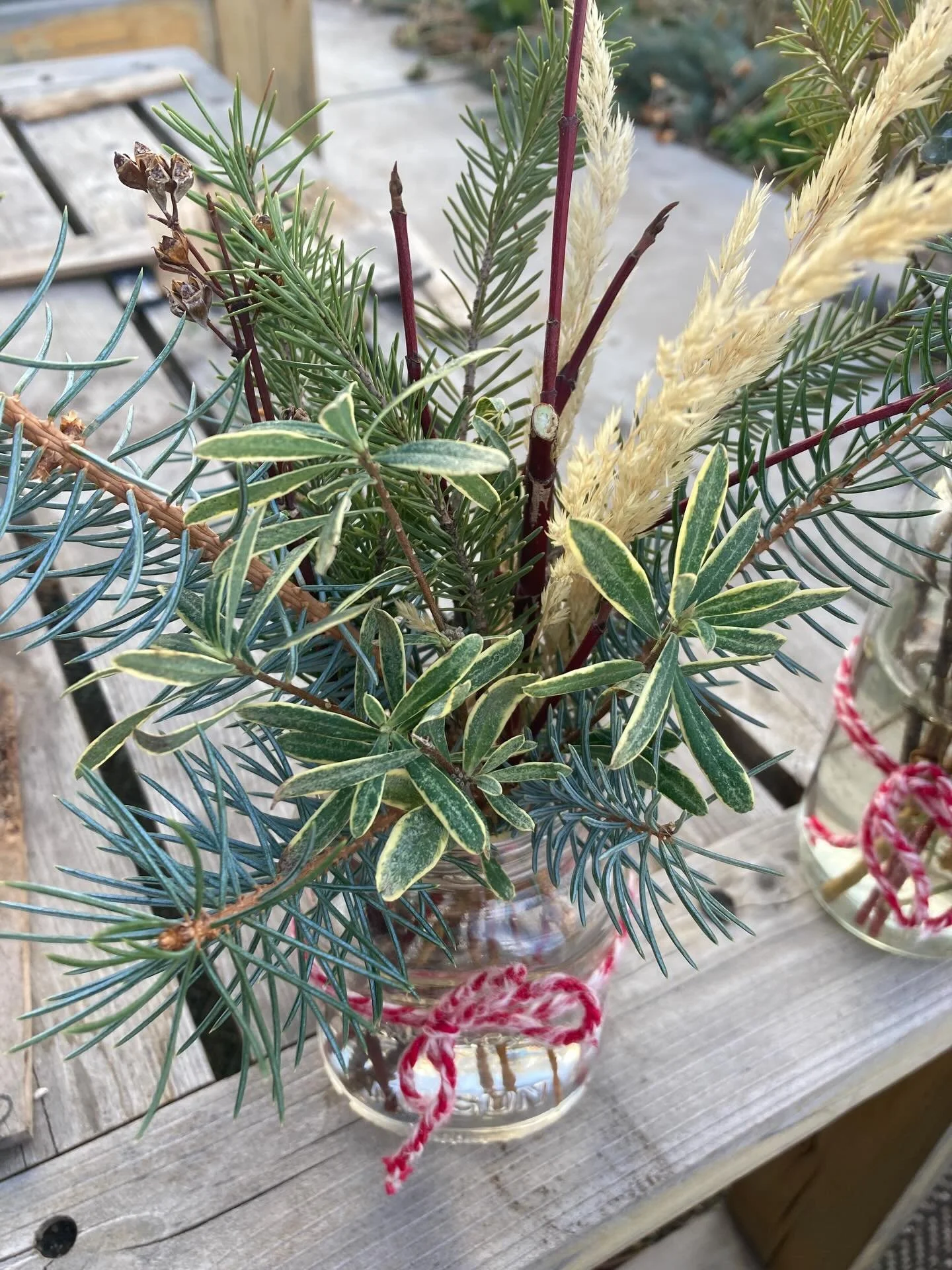 If you&rsquo;re desperate for something green on your table like I am this time of year, may I introduce LITTLE GREENS! These jars will last forever (not really forever but into January and maybe February) if you keep them in clean water. They&rsquo;