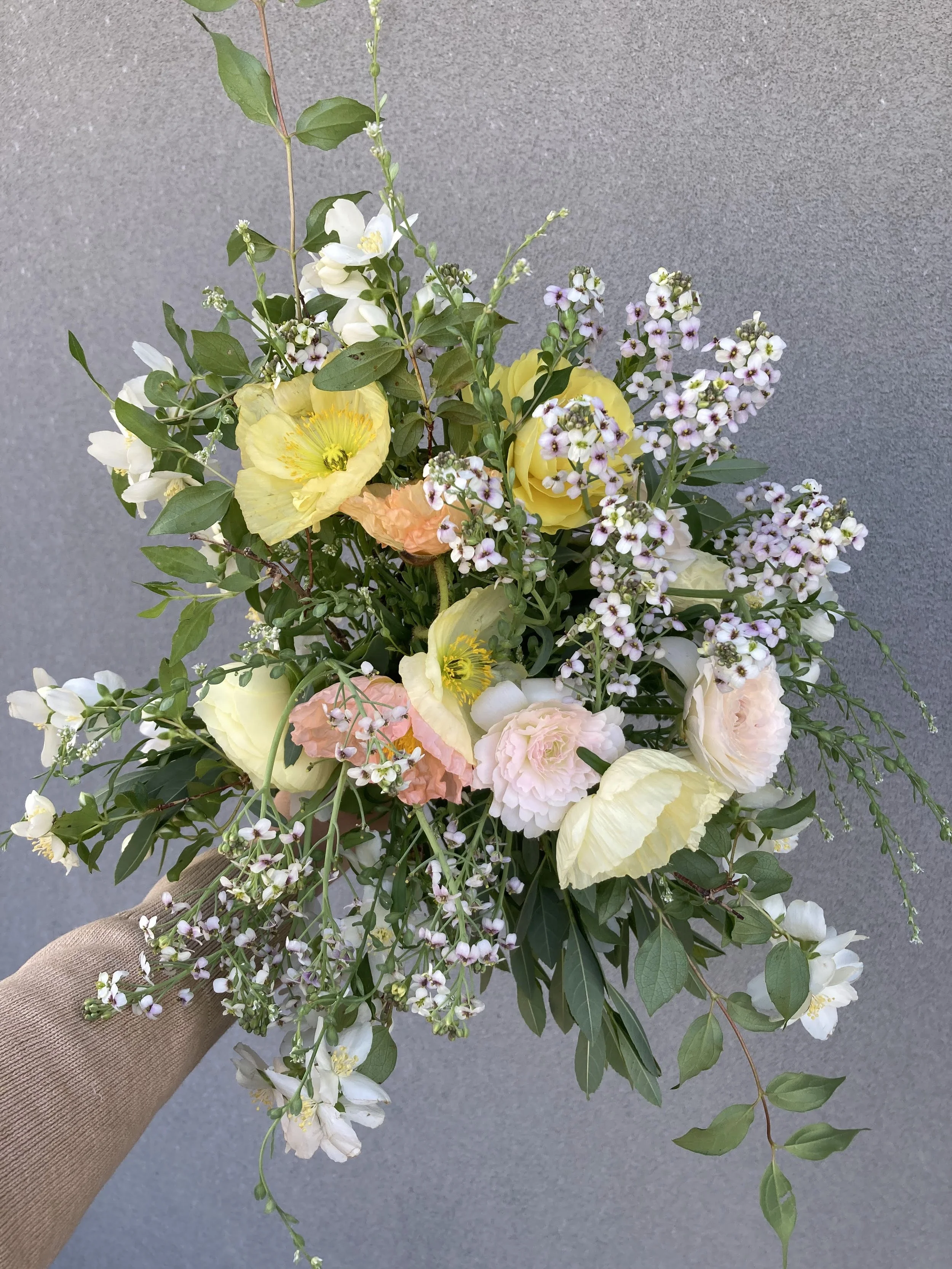 Early Season - 60_2.jpg