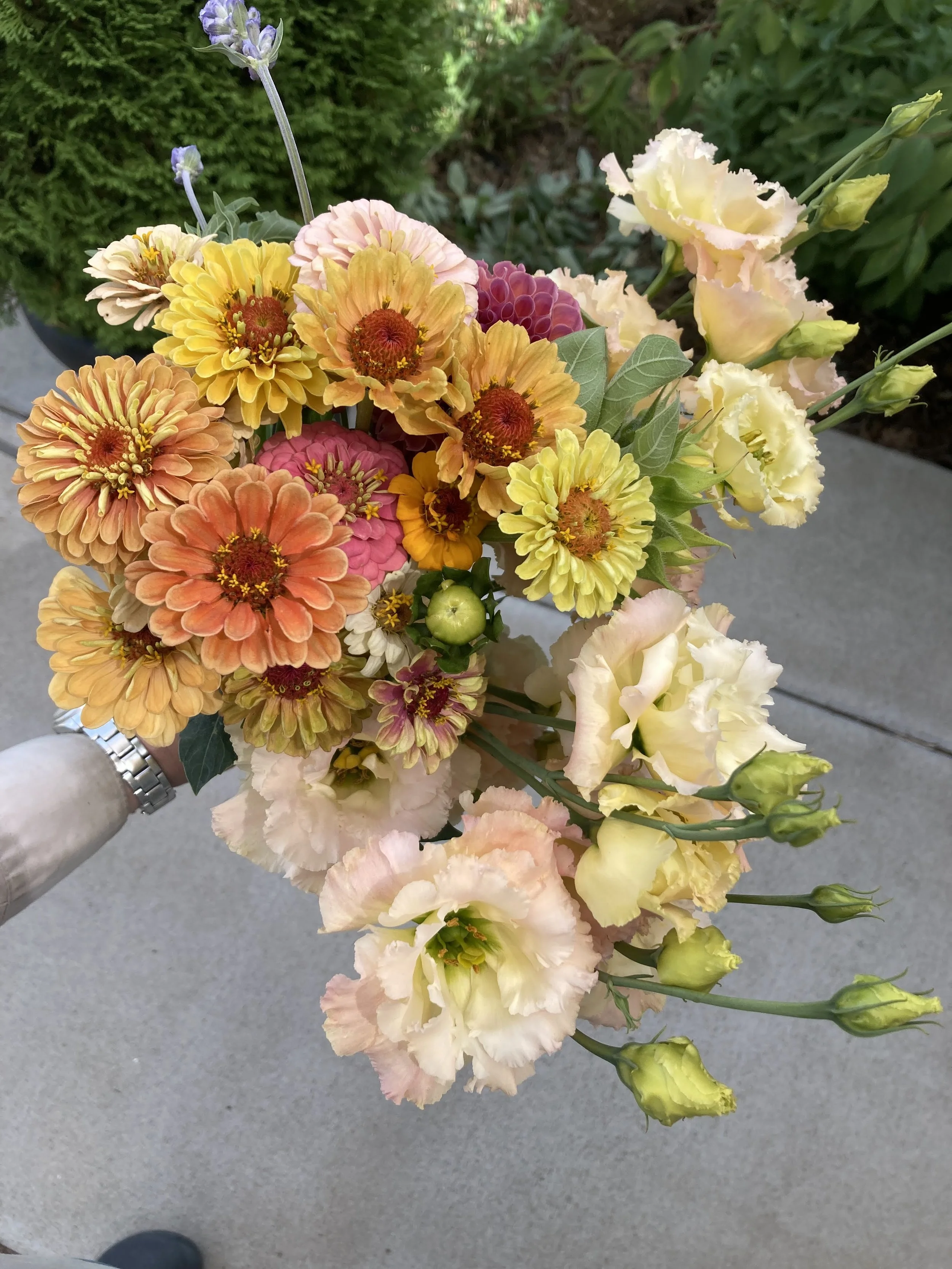 July: Zinnias and lisianthus
