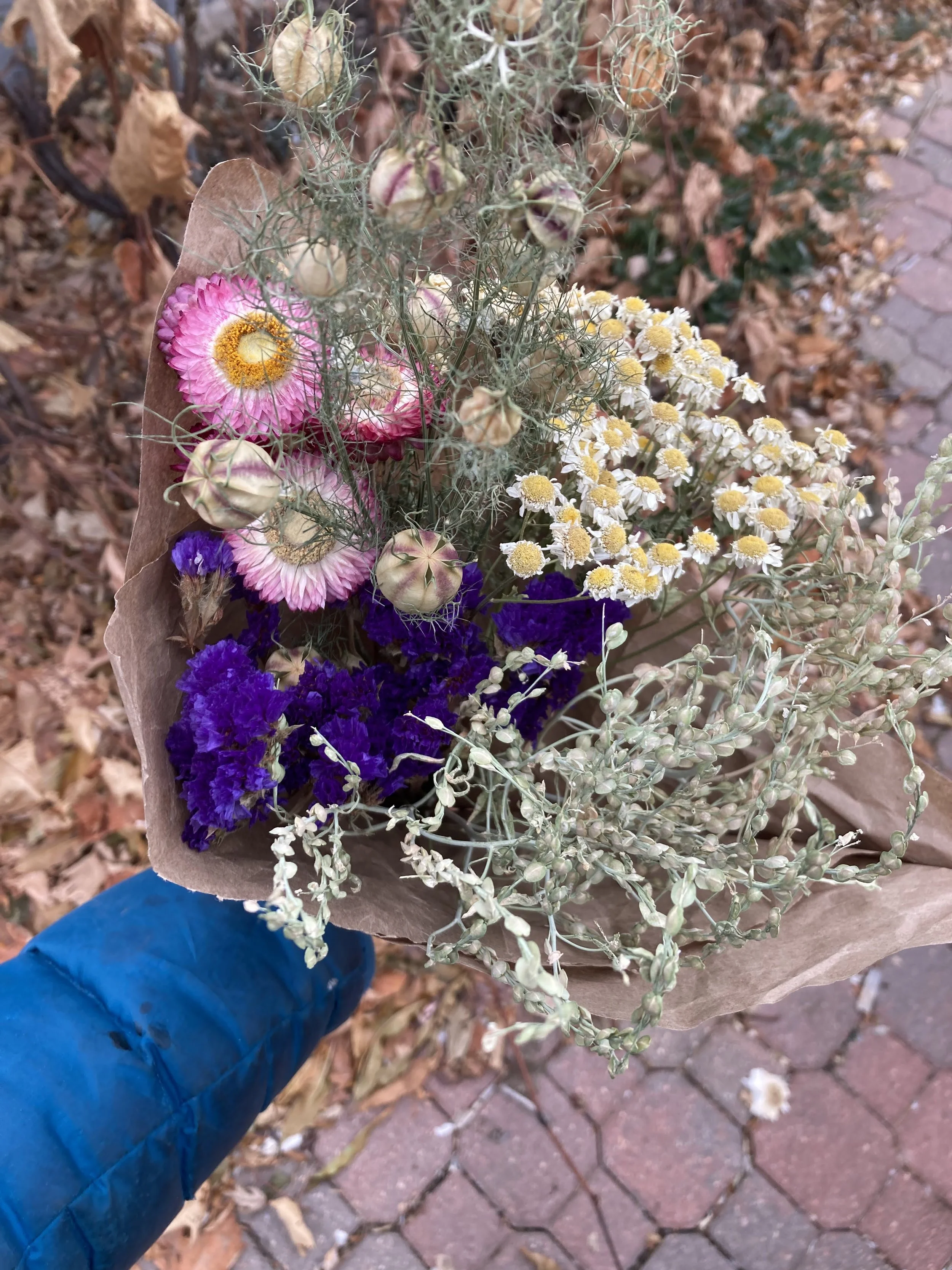 dried flower 4.jpg