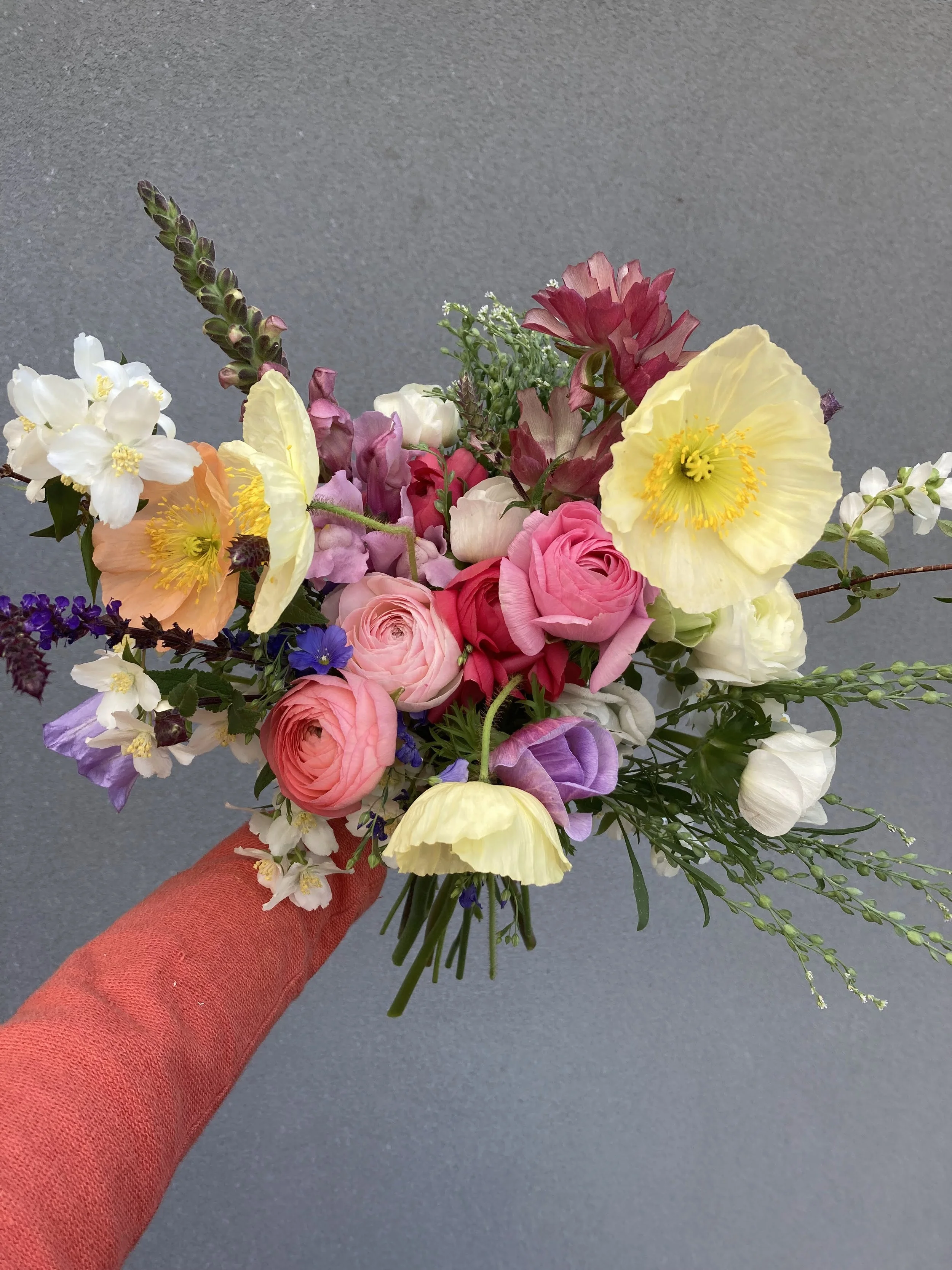 Early Season - 60_3.jpg