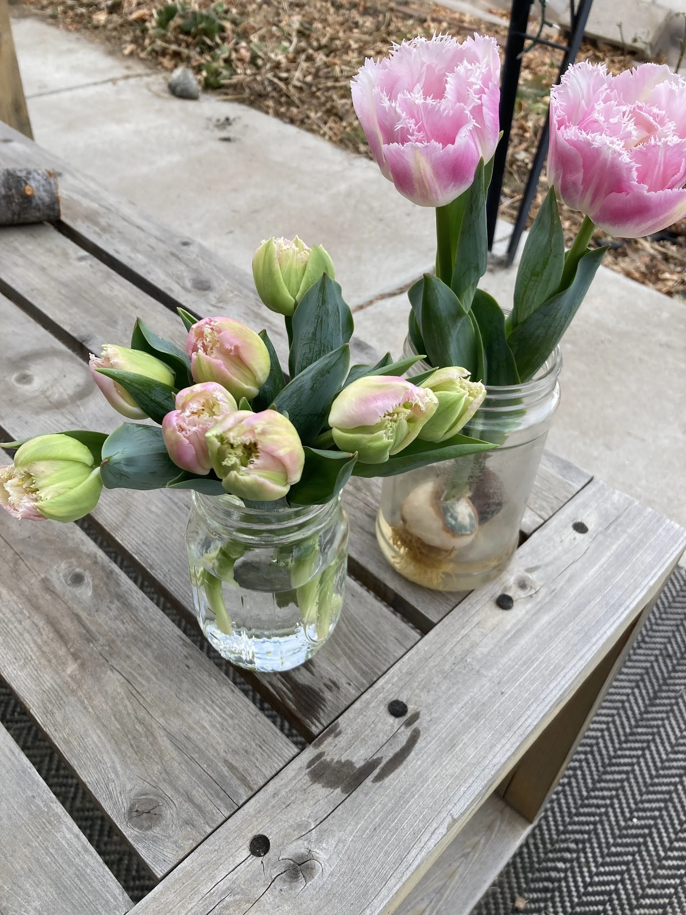 Winter tulip jar