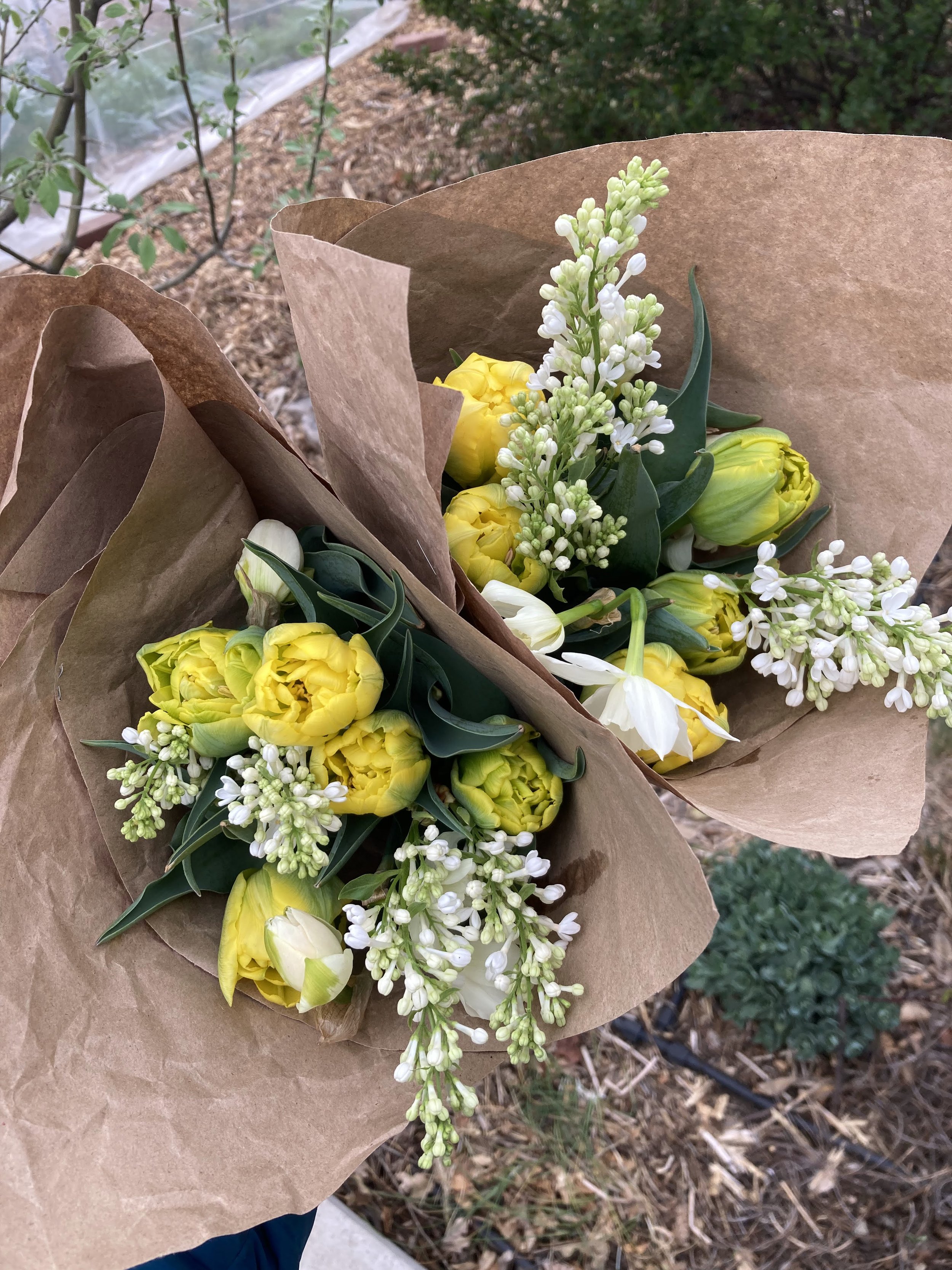 $20 bouquets.jpg