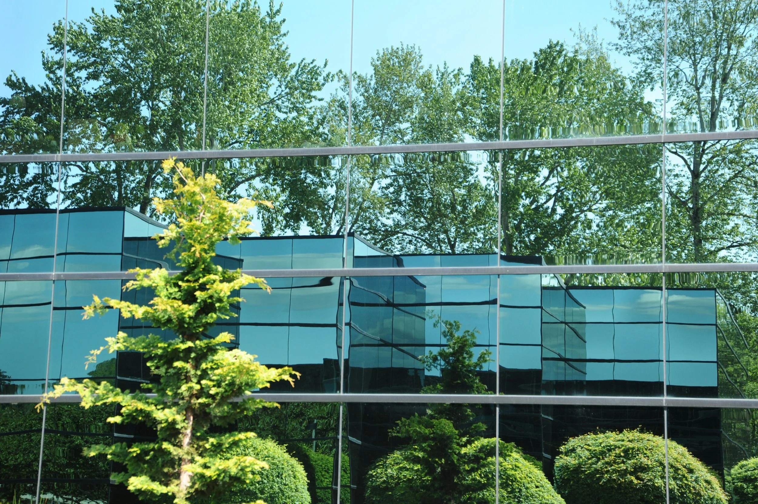 Reflection of trees and a building in the glass windows of another building.