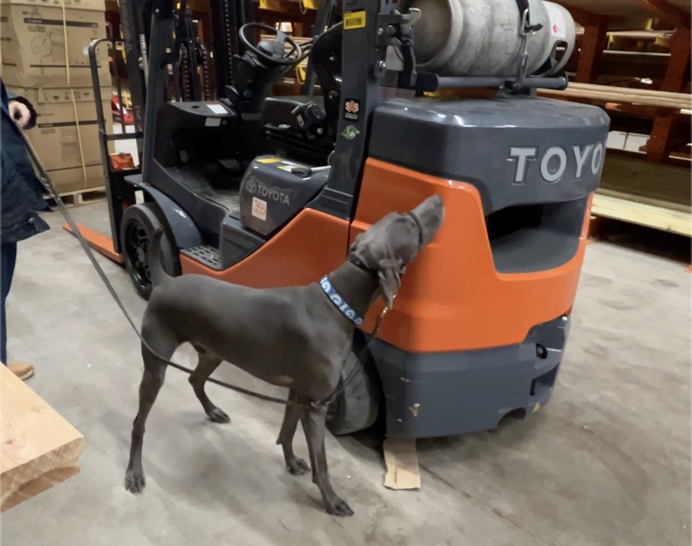 Screenshot 2026-01-03 at 6.26.21 PM.png