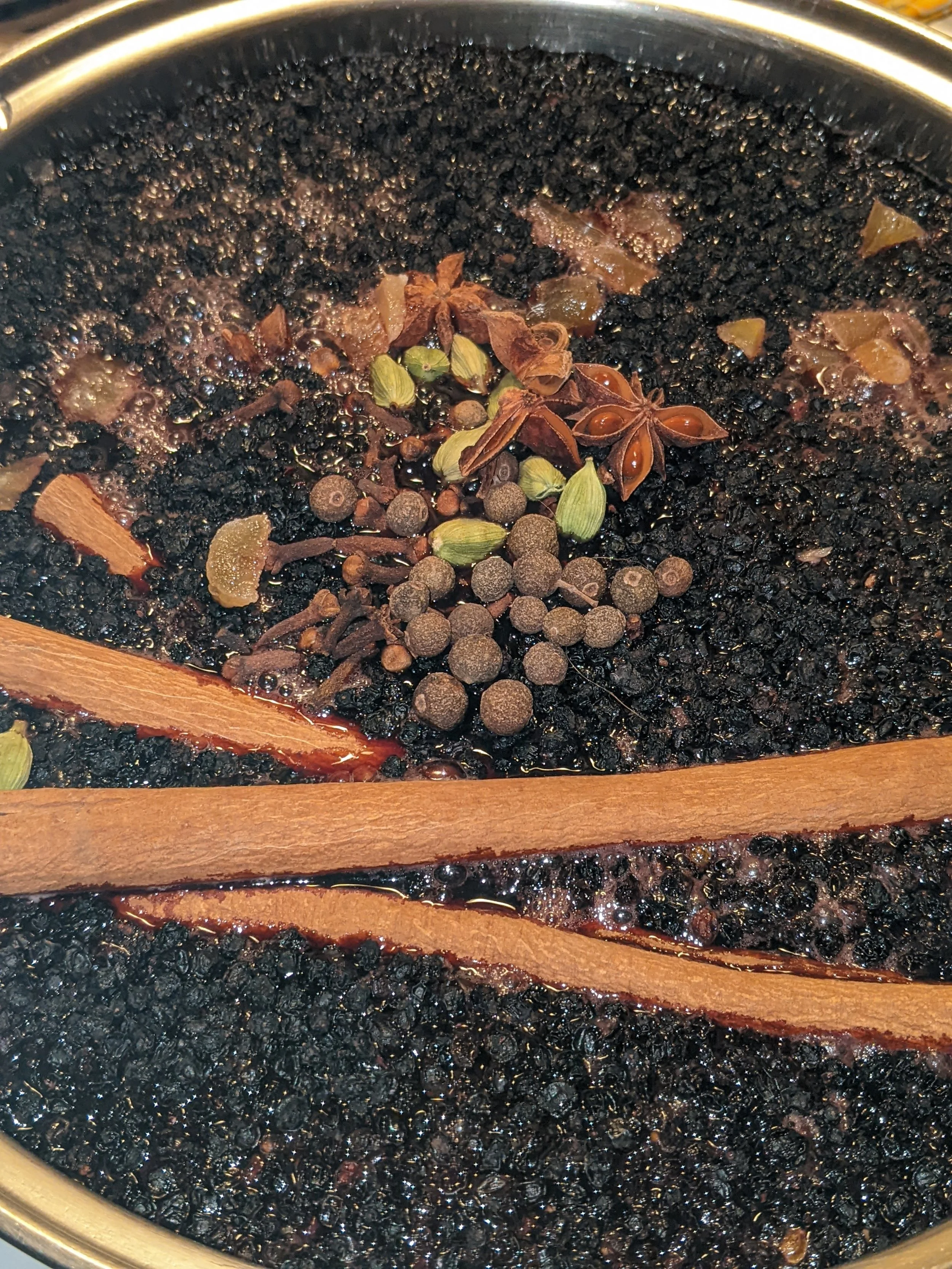 PXL_20221101_223734982.PORTRAIT.jpg (Copy)