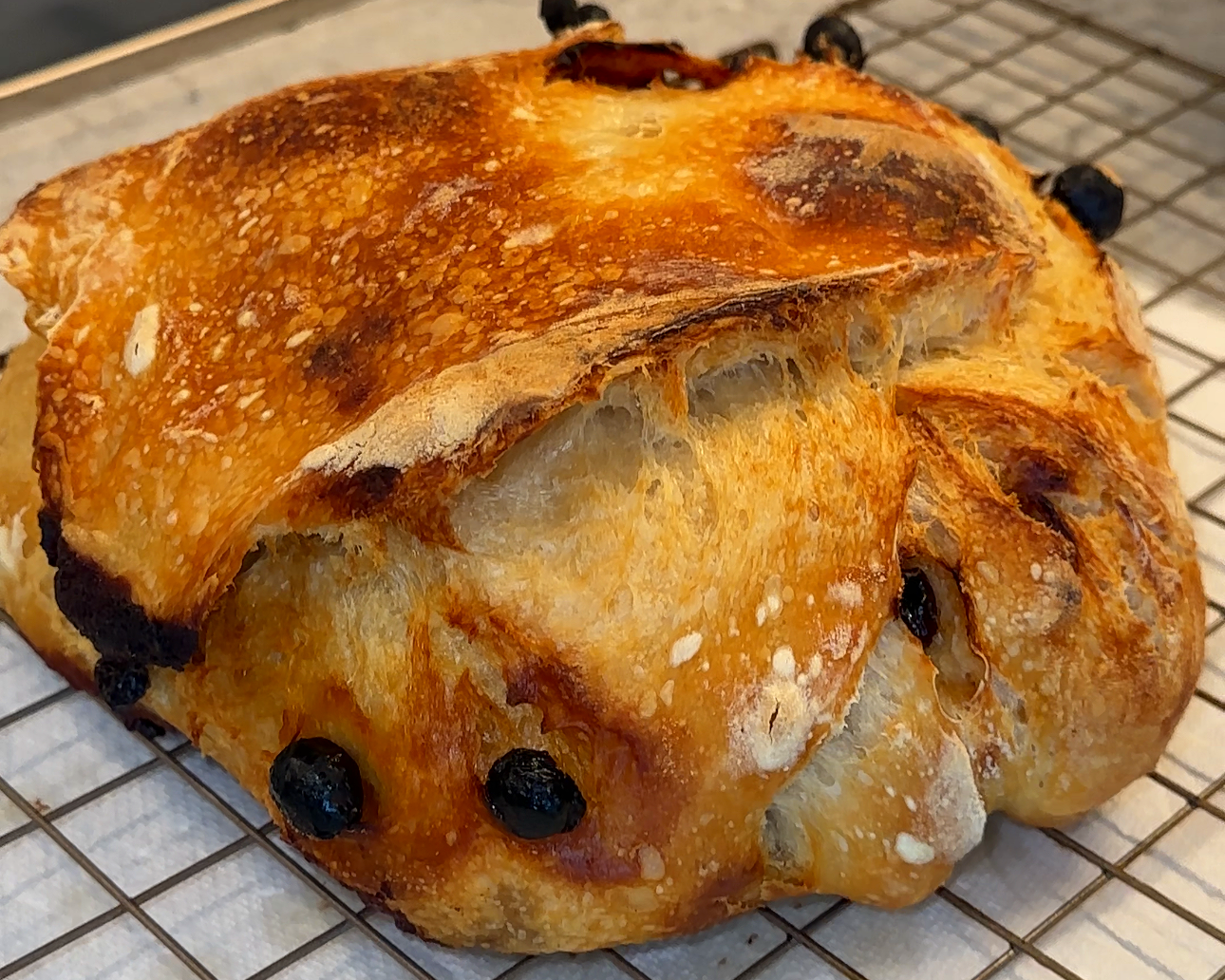 Cinnamon Swirl Raisin Sourdough
