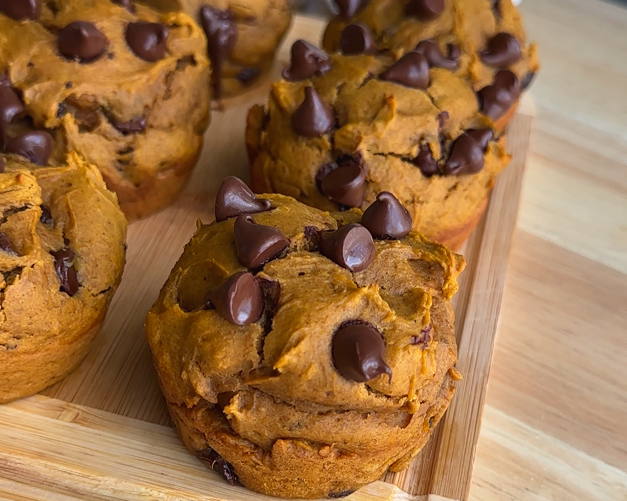 Chocolate Chip Pumpkin Protein Muffins