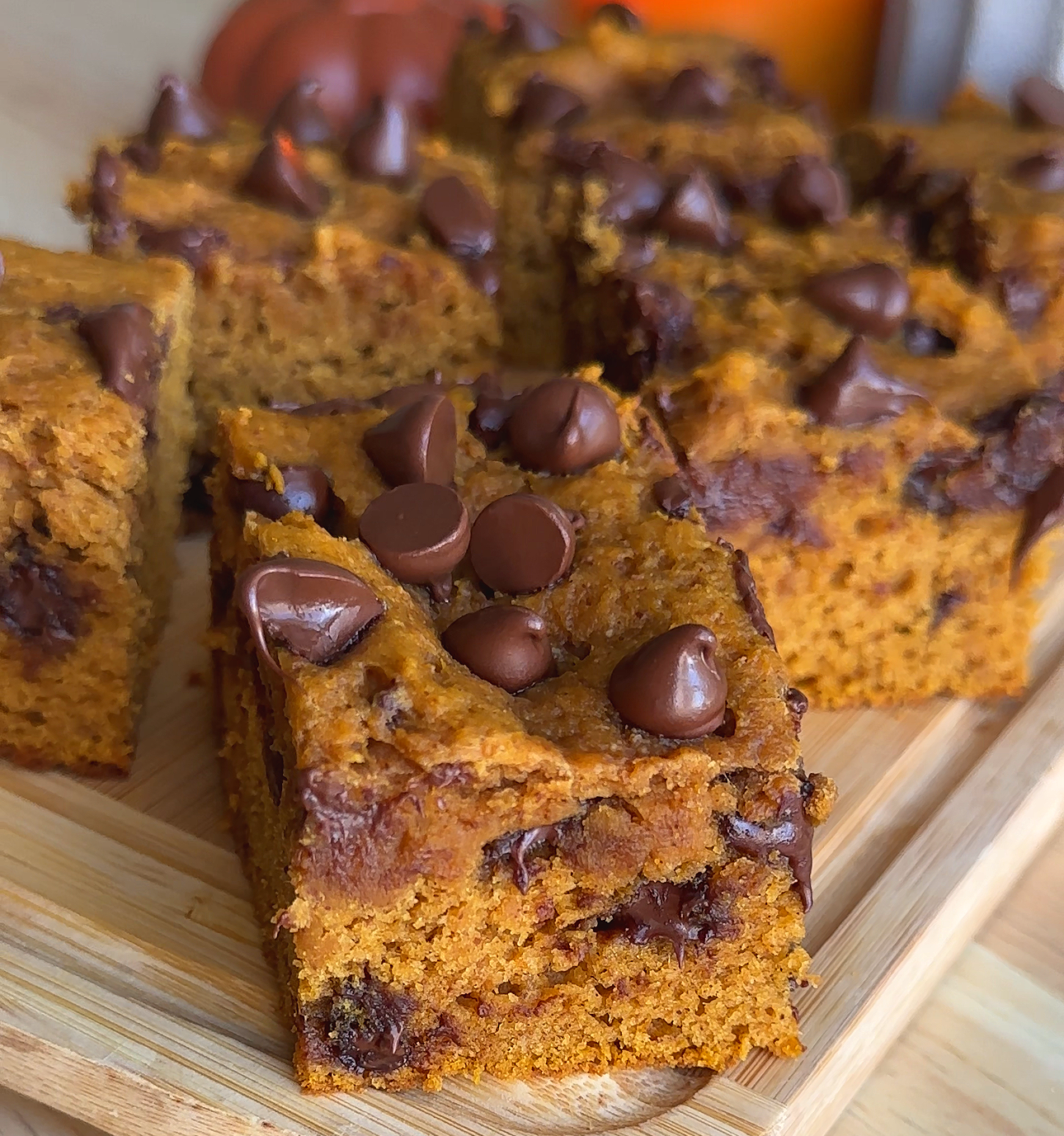 Pumpkin Chocolate Chip Cake Bars
