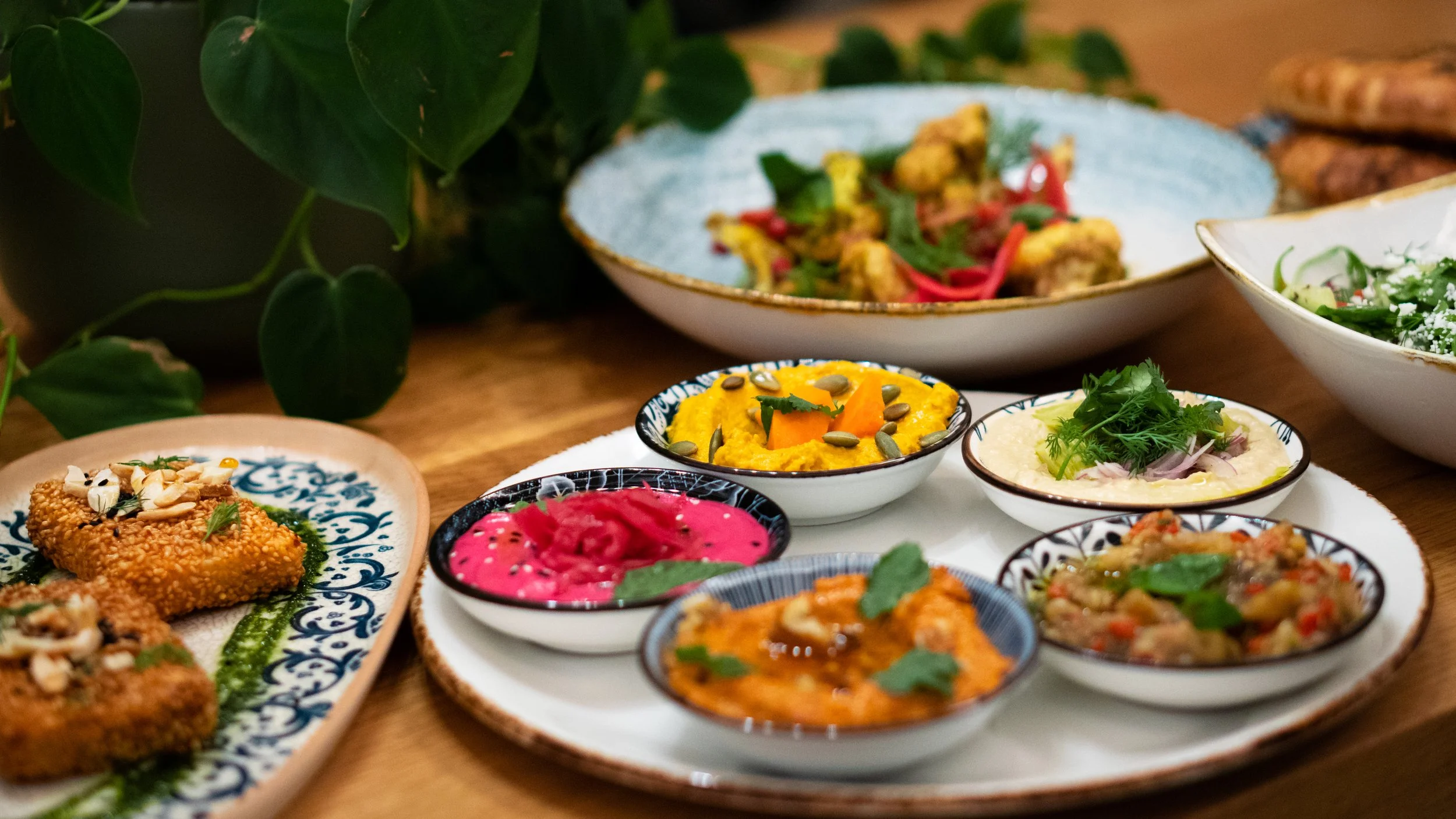 A variety of colorful Mediterranean appetizers and side dishes served in small bowls and on plates on a wooden table, with leafy green plant in the background.