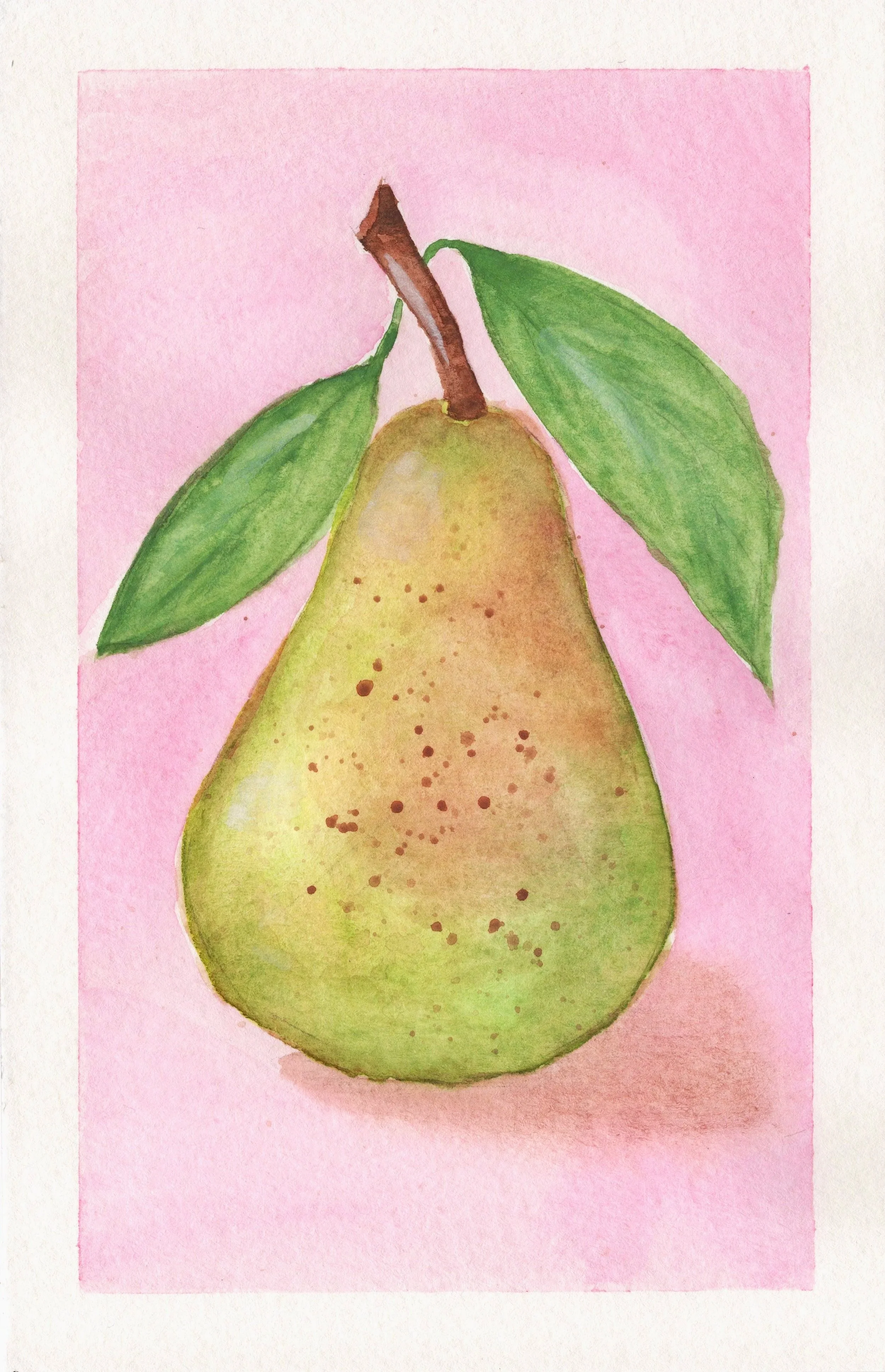 PEAR+JPEG_001.jpg
